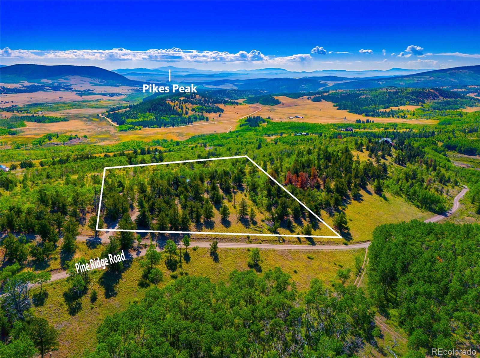 210 Pine Ridge Road Fairplay, CO 80440 - Photo 9 of 47