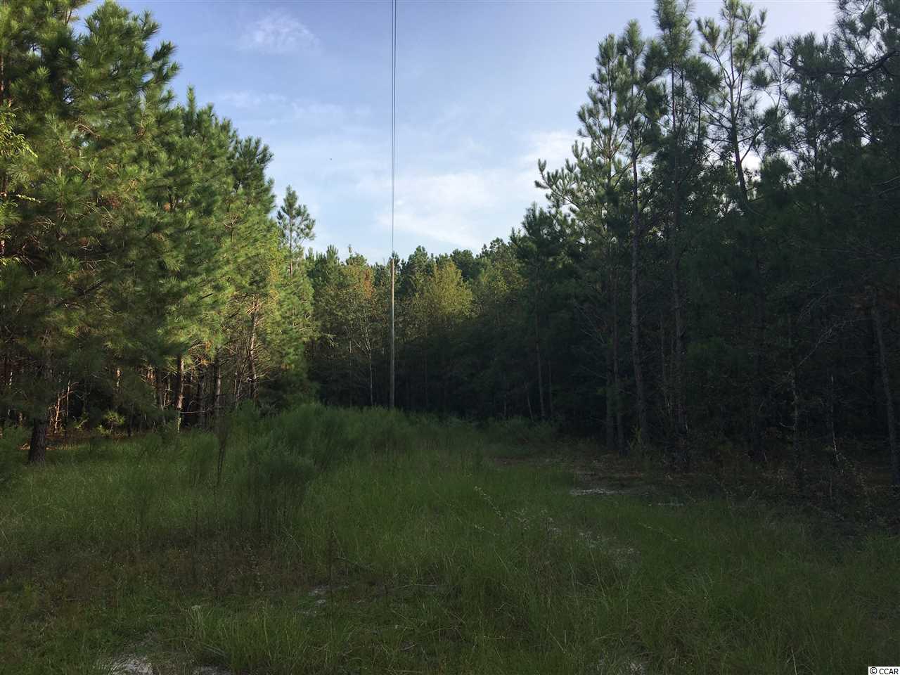 Whispering Hill Road Loris, SC 29569 - Photo 1 of 6 Gallery Image 1