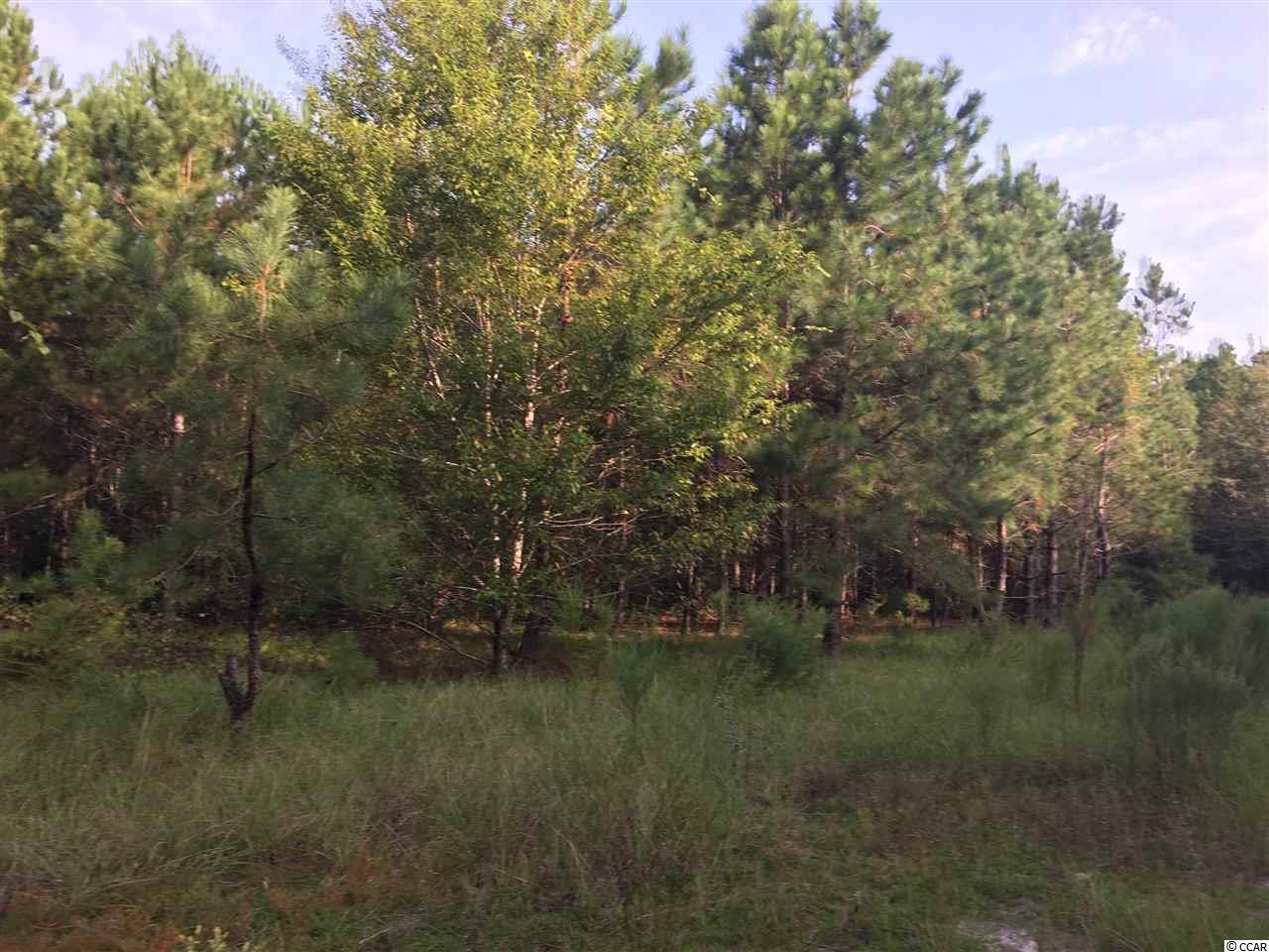 Whispering Hill Road Loris, SC 29569 - Photo 3 of 6 Gallery Image 3