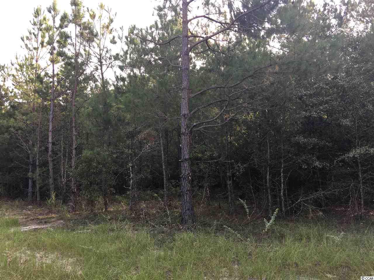 Whispering Hill Road Loris, SC 29569 - Photo 4 of 6 Gallery Image 4