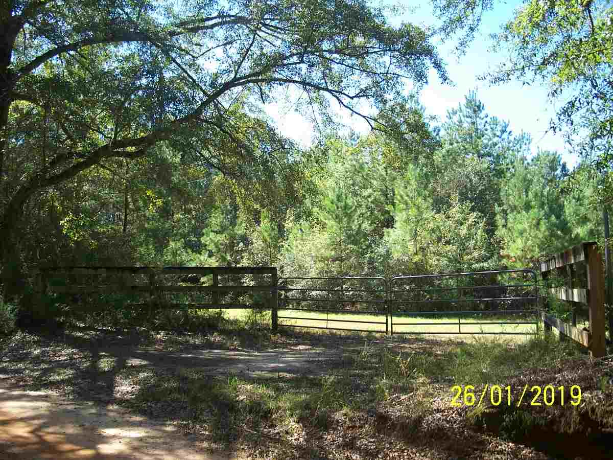 0 Nalls Road Andalusia, AL 36421 - Photo 4 of 8 Gallery Image 4