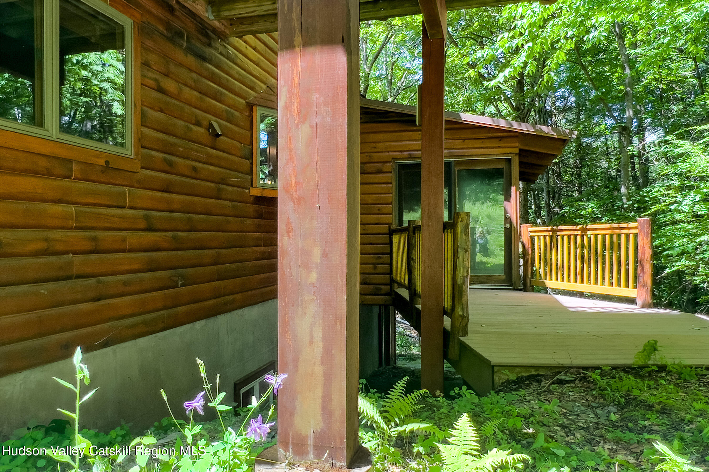135 Sparrowhawk Lake Road Schenevus, NY 12155 - Photo 60 of 71 059 - Woodland setting - 135 Sparrowhawk