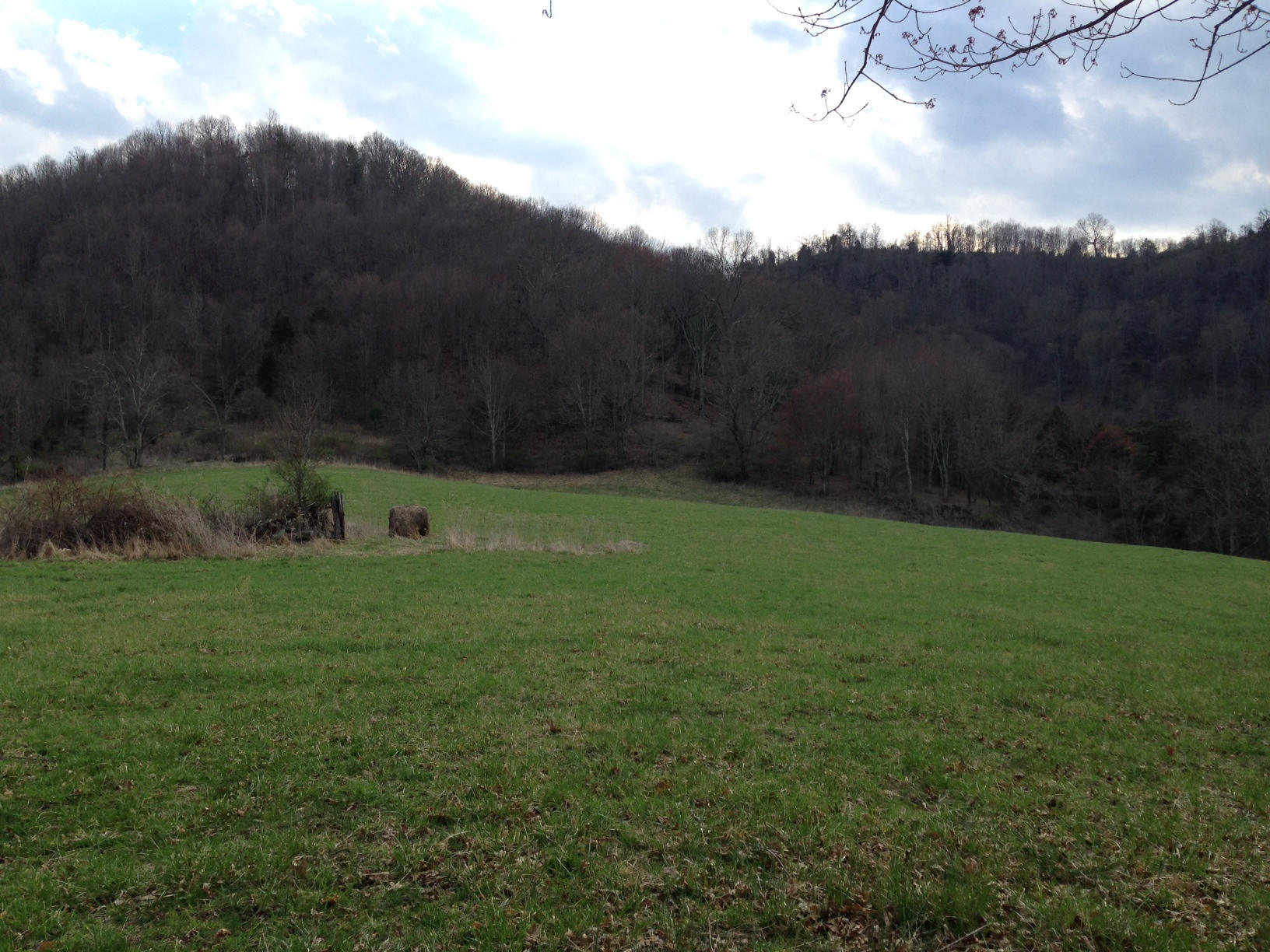 Dillon Road Forest Hill, WV 24935 - Photo 68 of 93 Gallery Image 68