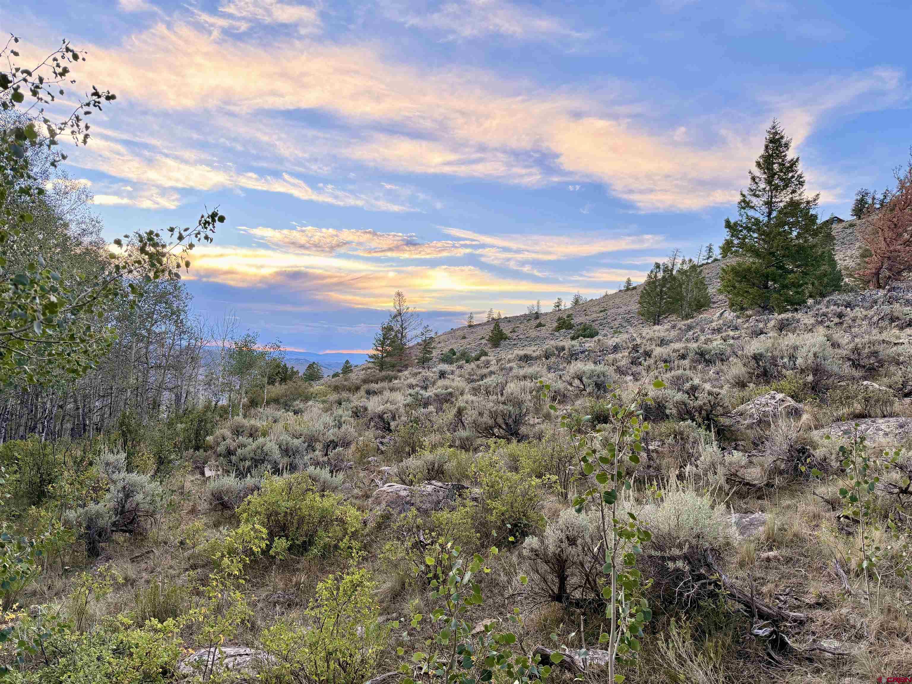 149 Rd Powderhorn Co 81230 Road Powderhorn, CO 81243 - Photo 4 of 40 Gallery Image 4