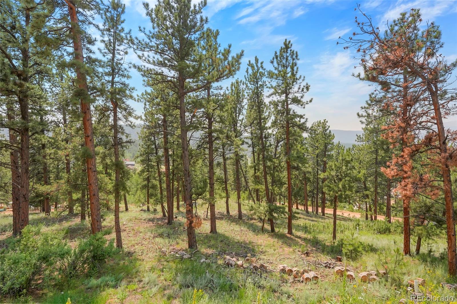 48 Ball Road Bailey, CO 80421 - Photo 5 of 20