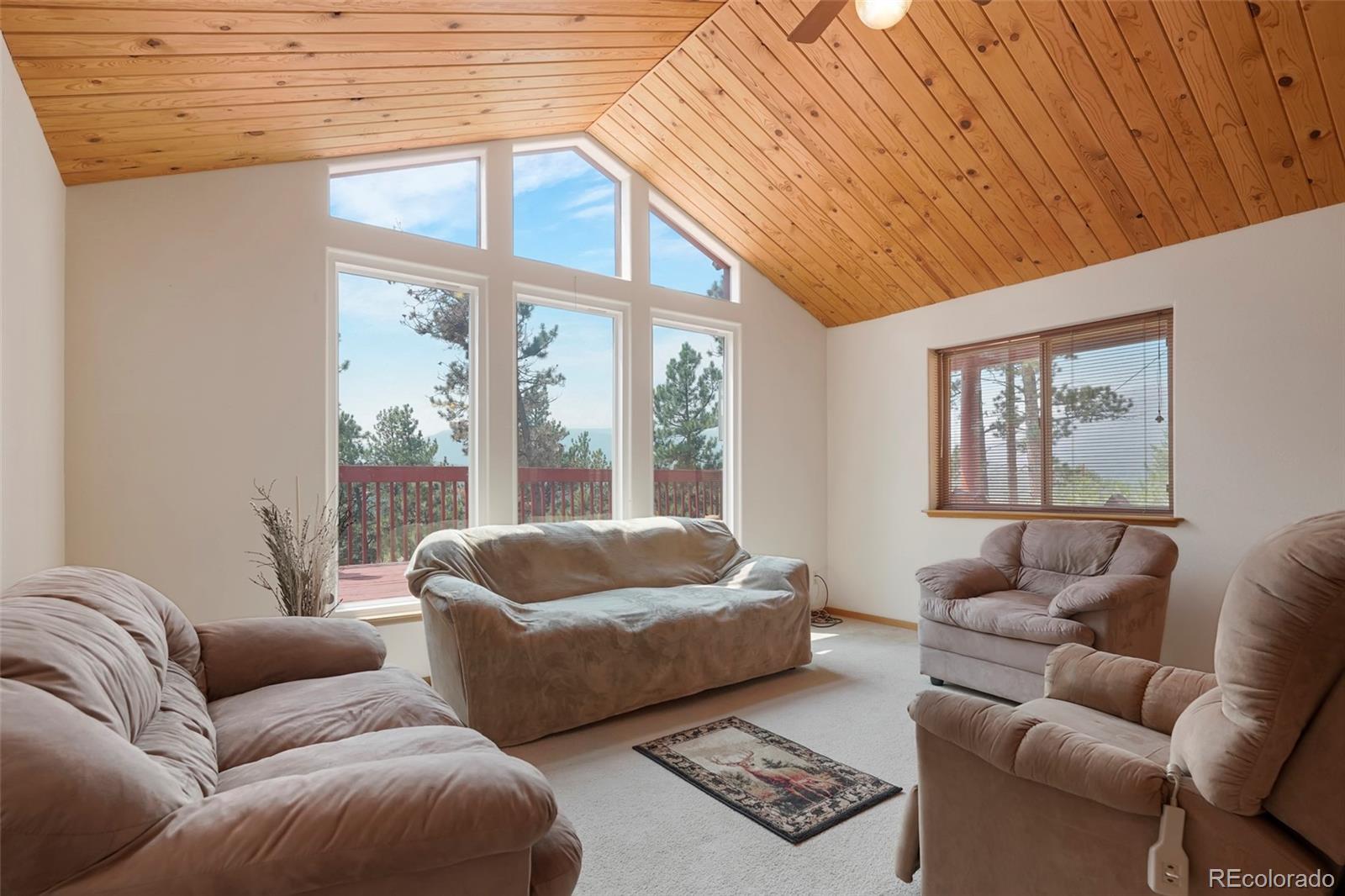 48 Ball Road Bailey, CO 80421 - Photo 9 of 20