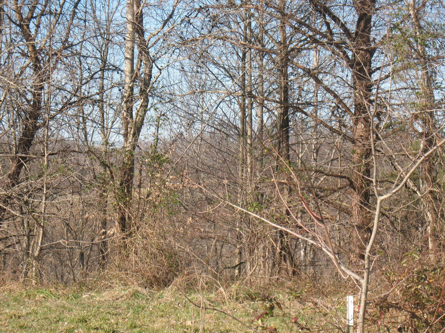 99999 Lost Fork Road Manchester, KY 40962 - Photo 1 of 5 Photo 1