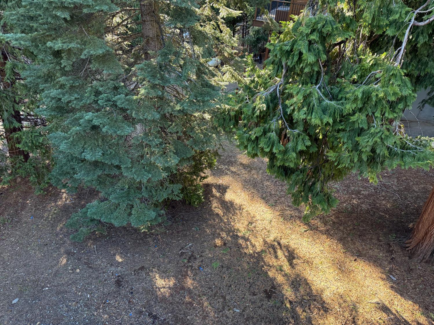 26031 Long Barn Road Long Barn, CA 95335 - Photo 38 of 40