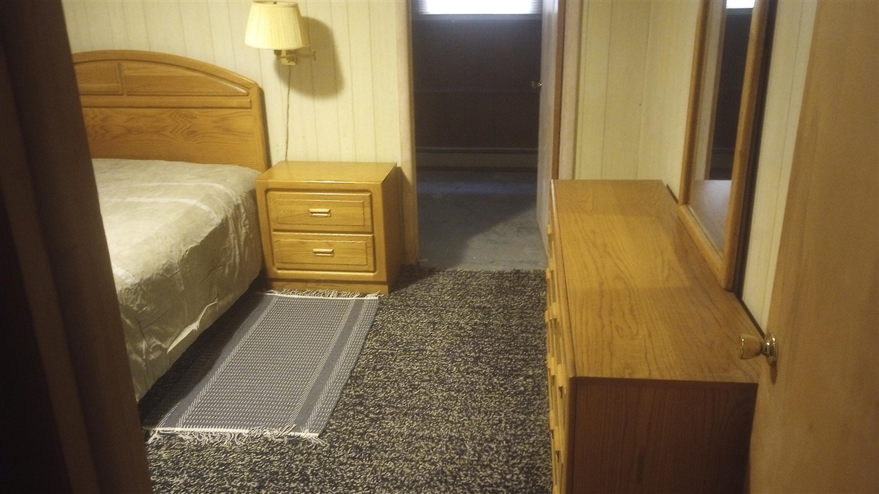 27 North Campbell Road Fountain, MI 49410 - Photo 17 of 34