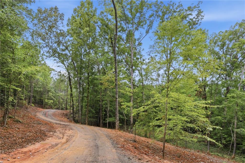 Lot 1 Pete Path Dallas, GA 30157 - Photo 14 of 21