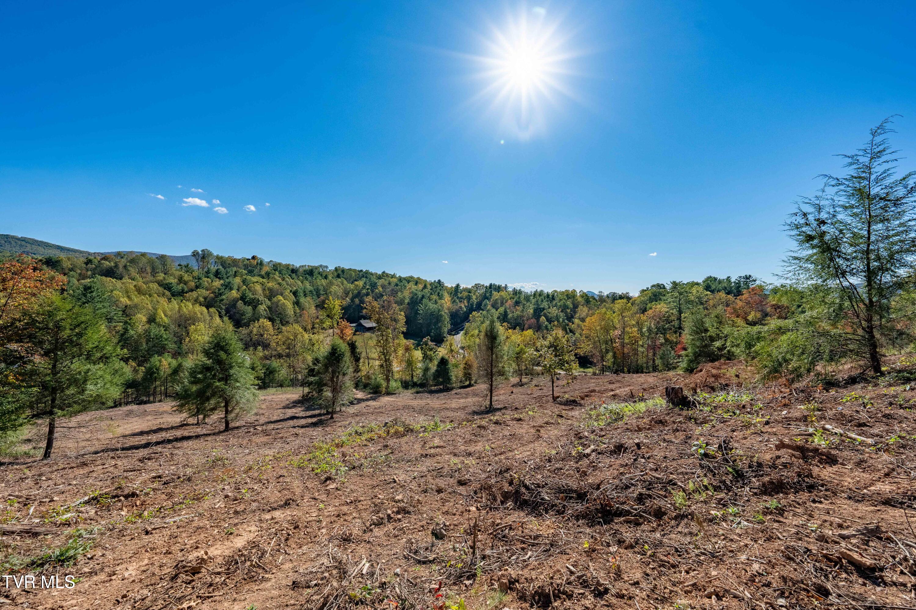 000 Dug Hill Road Mountain City, TN 37683 - Photo 11 of 50 TBD Dug Hill Road Lot 2 (40 of 40)