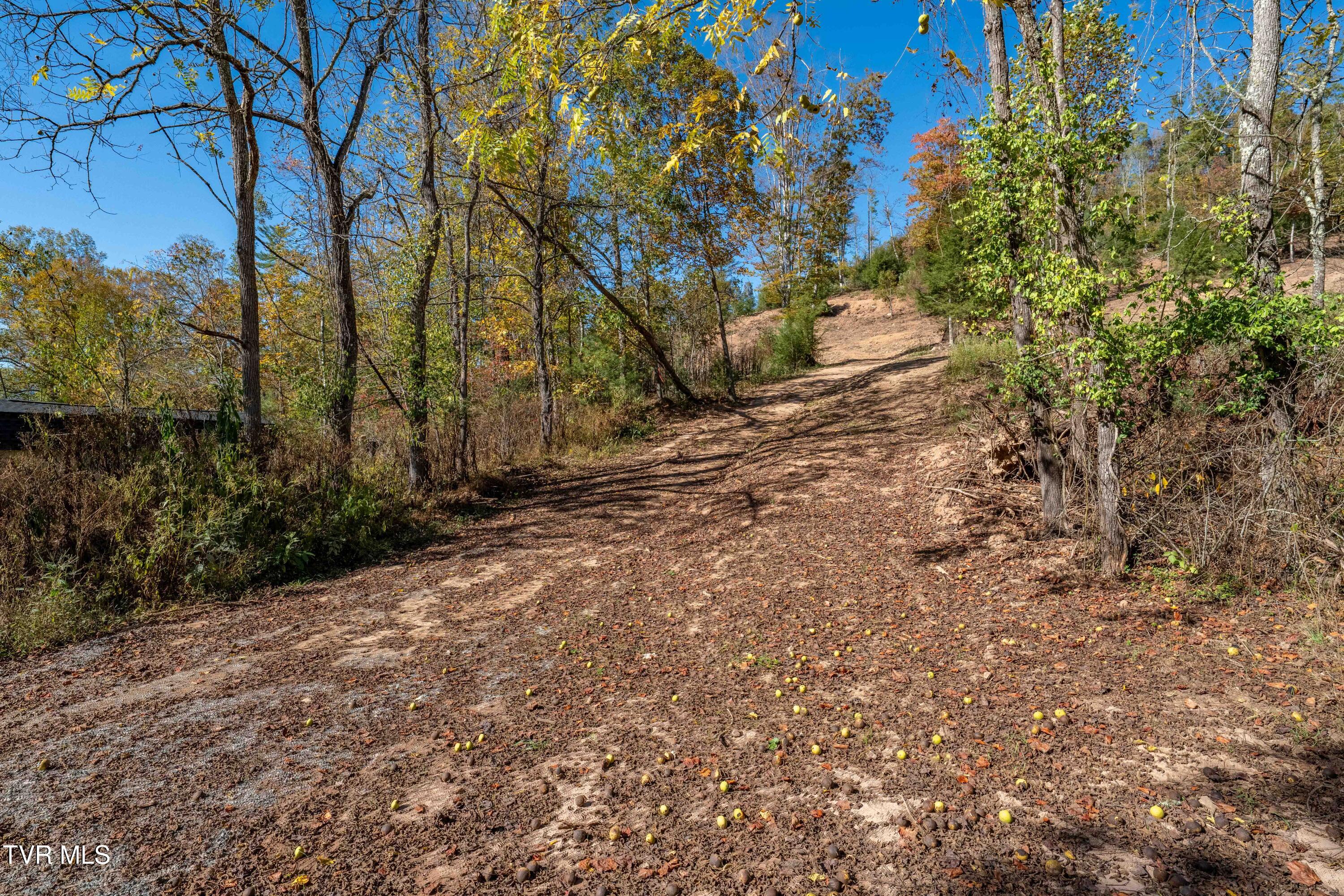 000 Dug Hill Road Mountain City, TN 37683 - Photo 12 of 50 TBD Dug Hill Road Lot 2 (25 of 40)