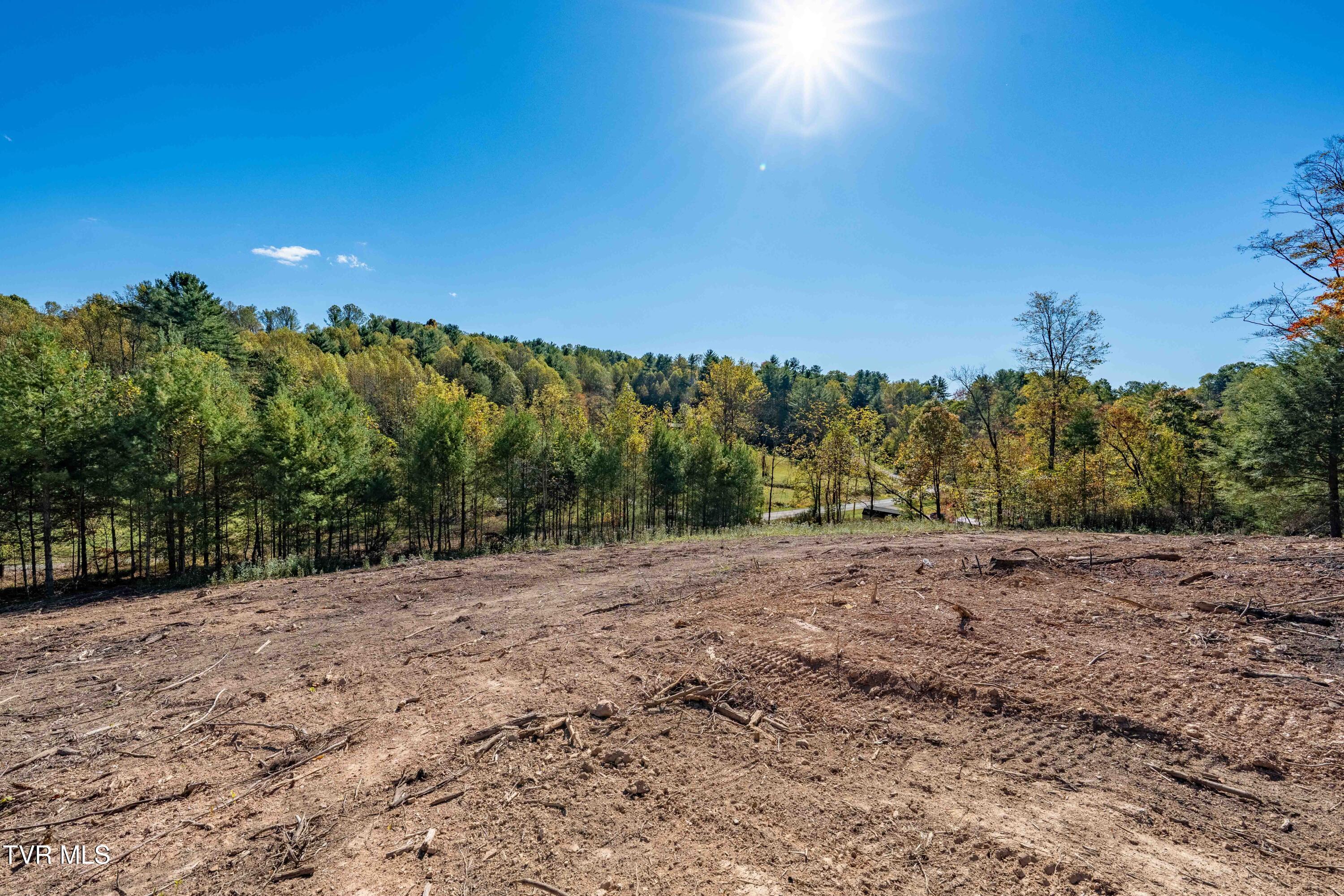 000 Dug Hill Road Mountain City, TN 37683 - Photo 15 of 50 TBD Dug Hill Road Lot 2 (30 of 40)