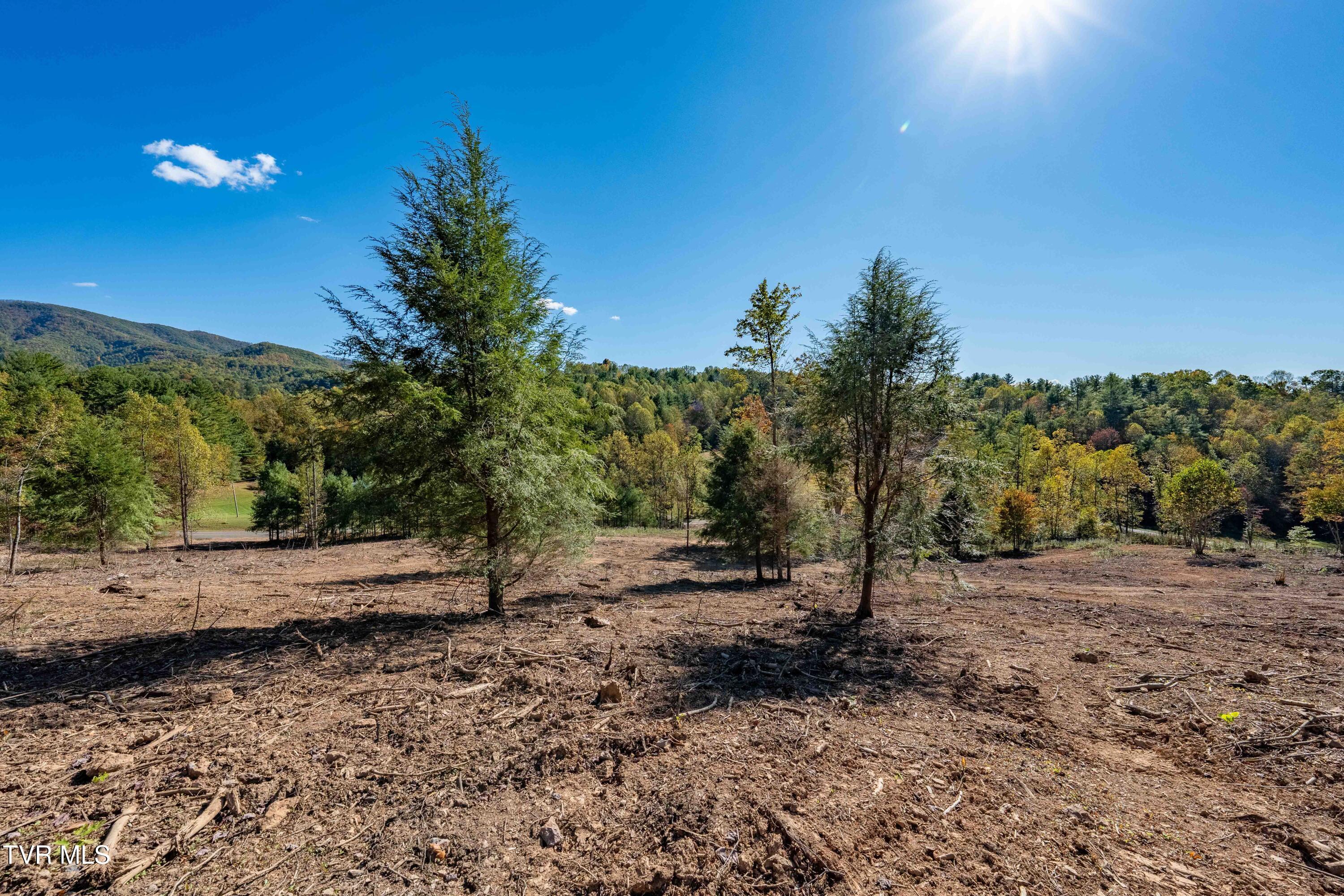 000 Dug Hill Road Mountain City, TN 37683 - Photo 17 of 50 TBD Dug Hill Road Lot 2 (37 of 40)