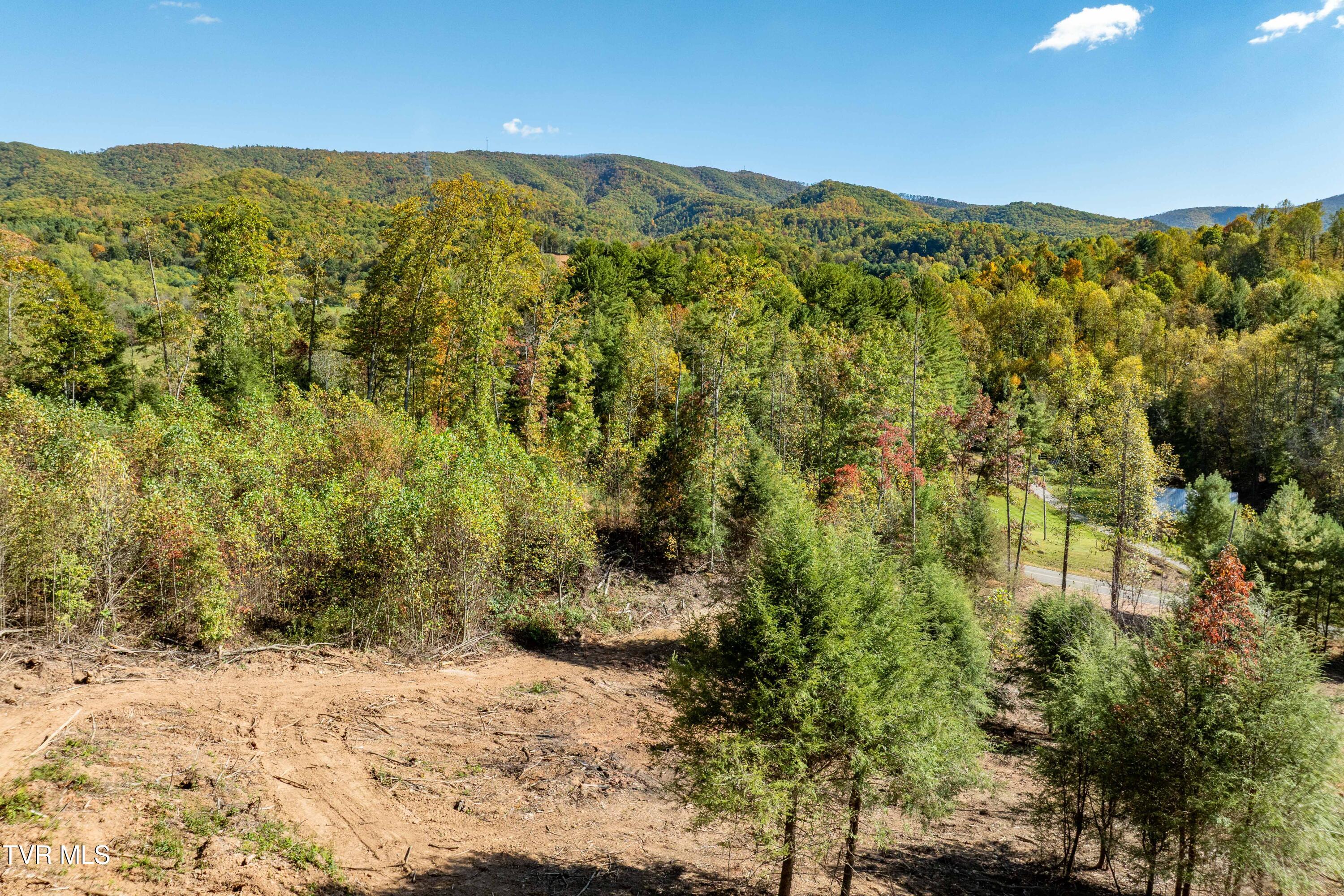 000 Dug Hill Road Mountain City, TN 37683 - Photo 19 of 50 TBD Dug Hill Road Lot 2 (20 of 40)