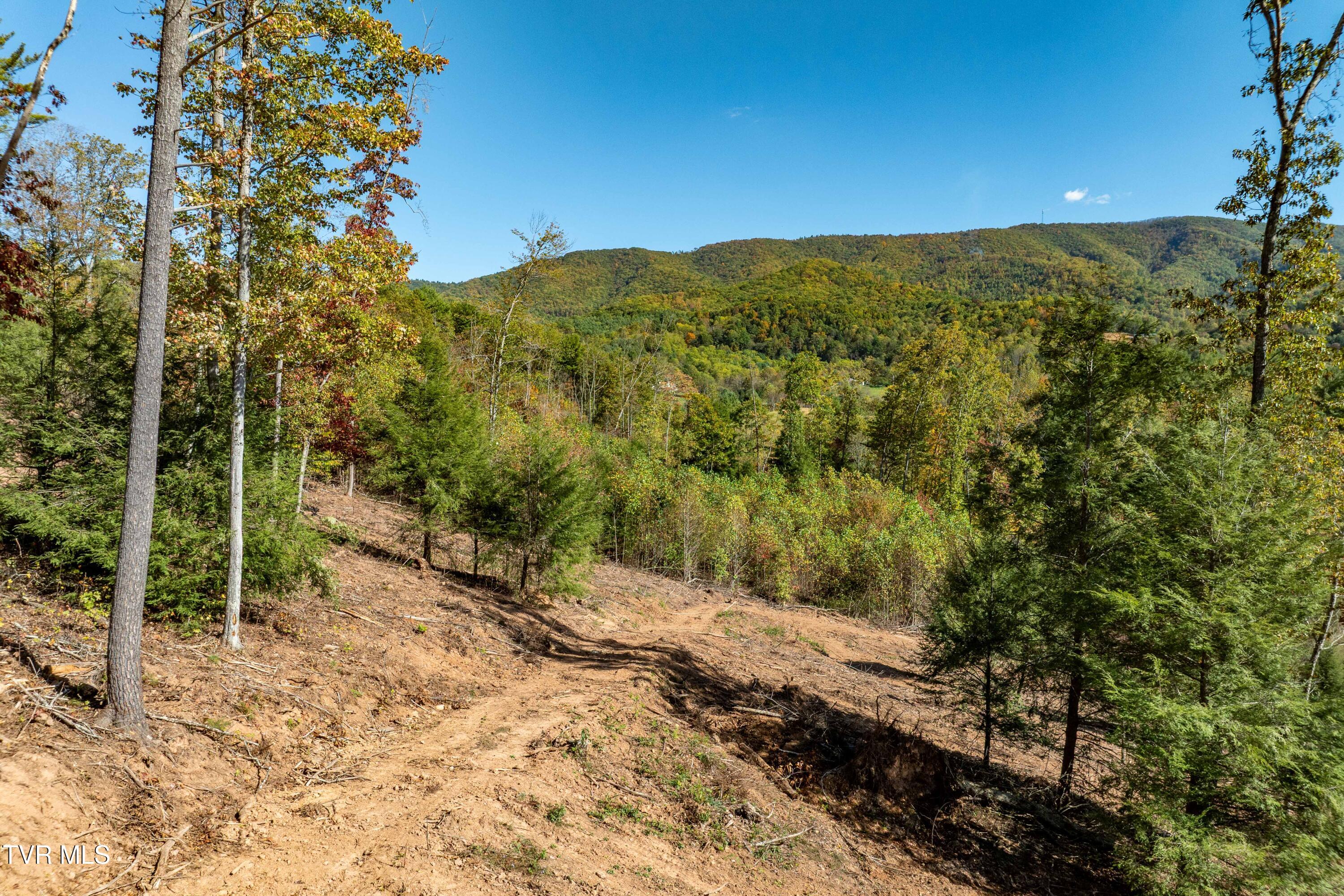 000 Dug Hill Road Mountain City, TN 37683 - Photo 22 of 50 TBD Dug Hill Road Lot 2 (22 of 40)