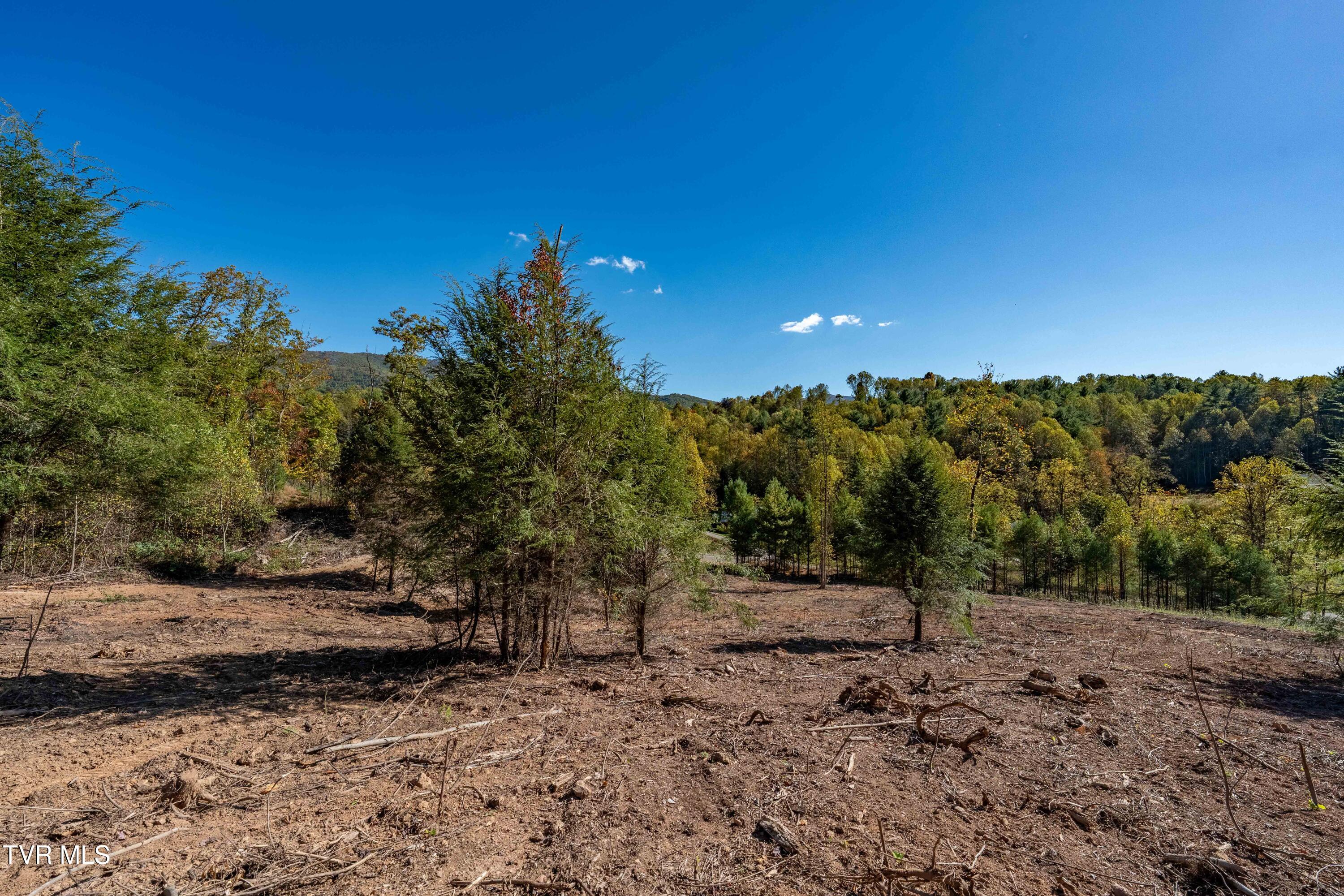 000 Dug Hill Road Mountain City, TN 37683 - Photo 23 of 50 TBD Dug Hill Road Lot 2 (32 of 40)