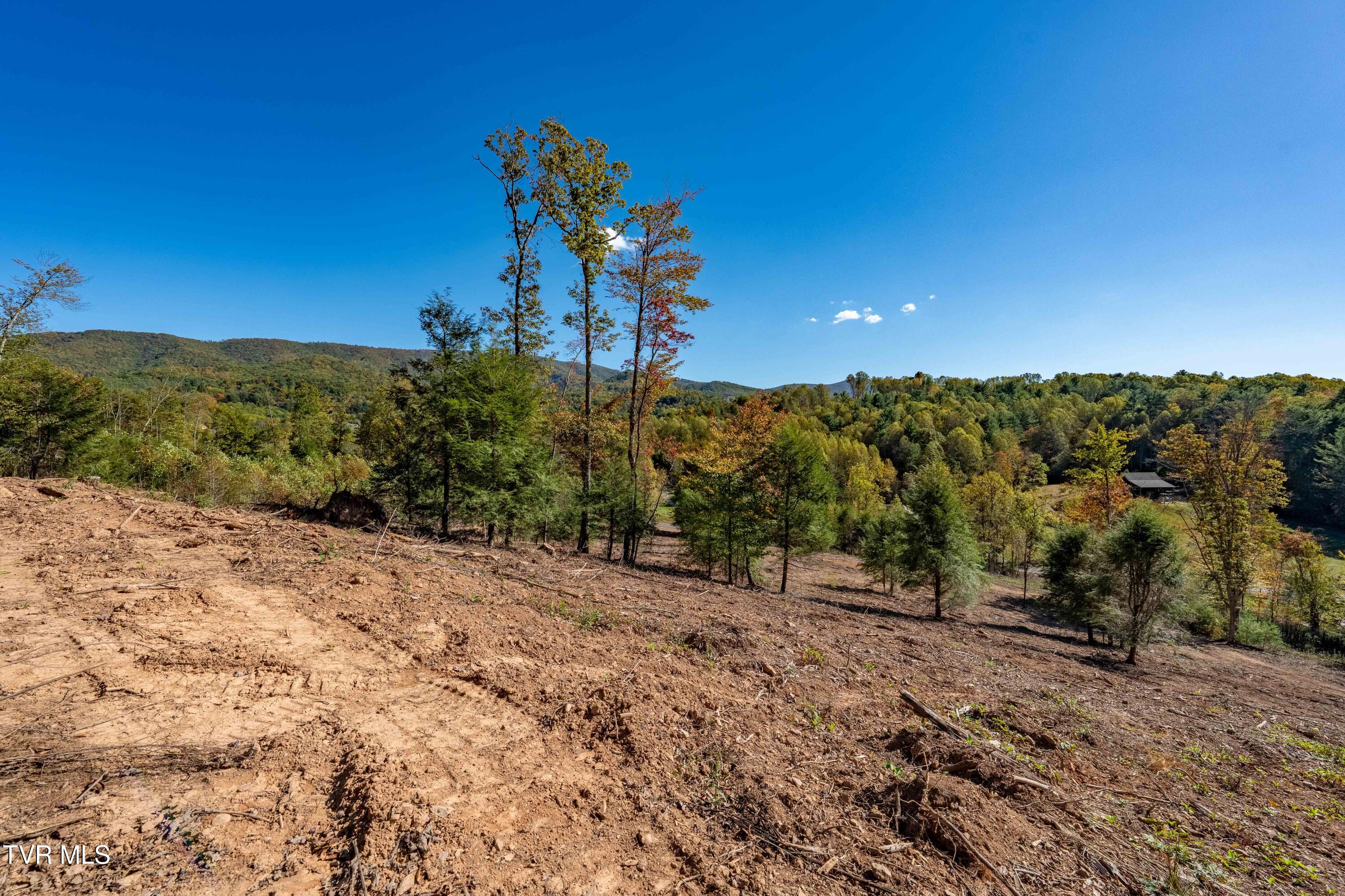 000 Dug Hill Road Mountain City, TN 37683 - Photo 25 of 50 TBD Dug Hill Road Lot 2 (39 of 40)