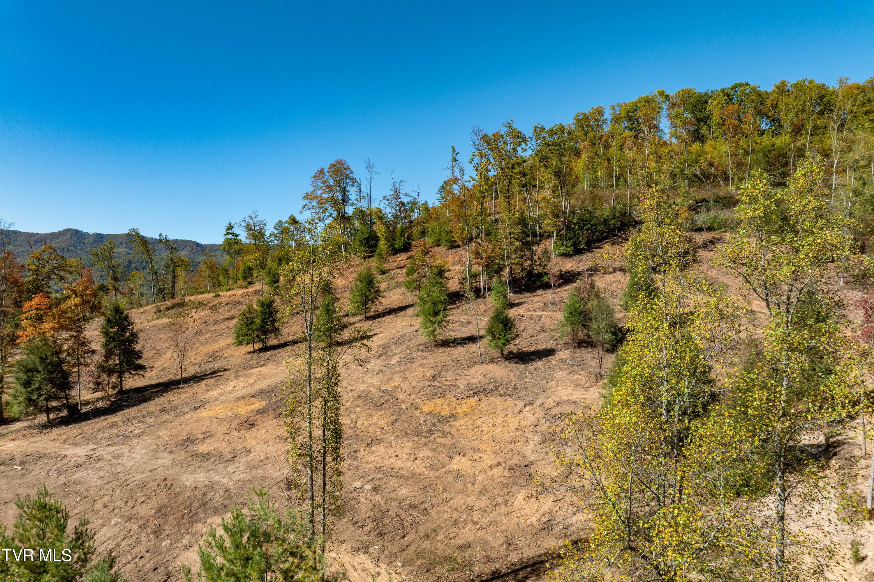000 Dug Hill Road Mountain City, TN 37683 - Photo 26 of 50 TBD Dug Hill Road Lot 2 (16 of 40)
