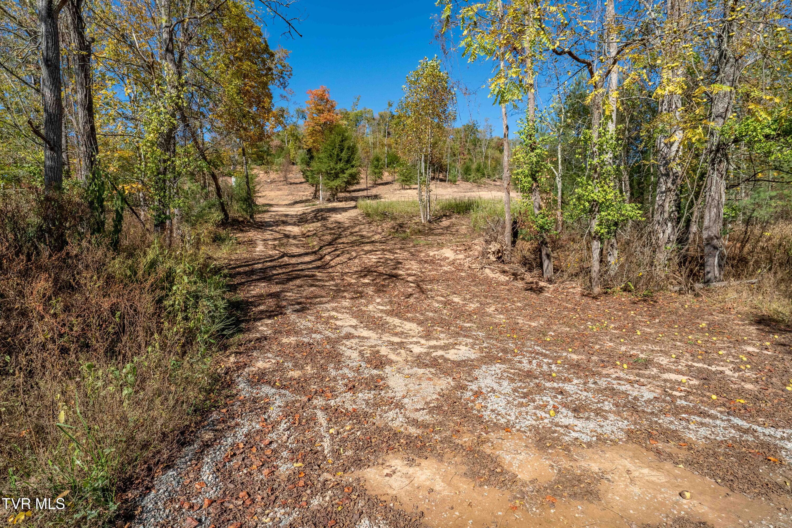 000 Dug Hill Road Mountain City, TN 37683 - Photo 27 of 50 TBD Dug Hill Road Lot 2 (24 of 40)