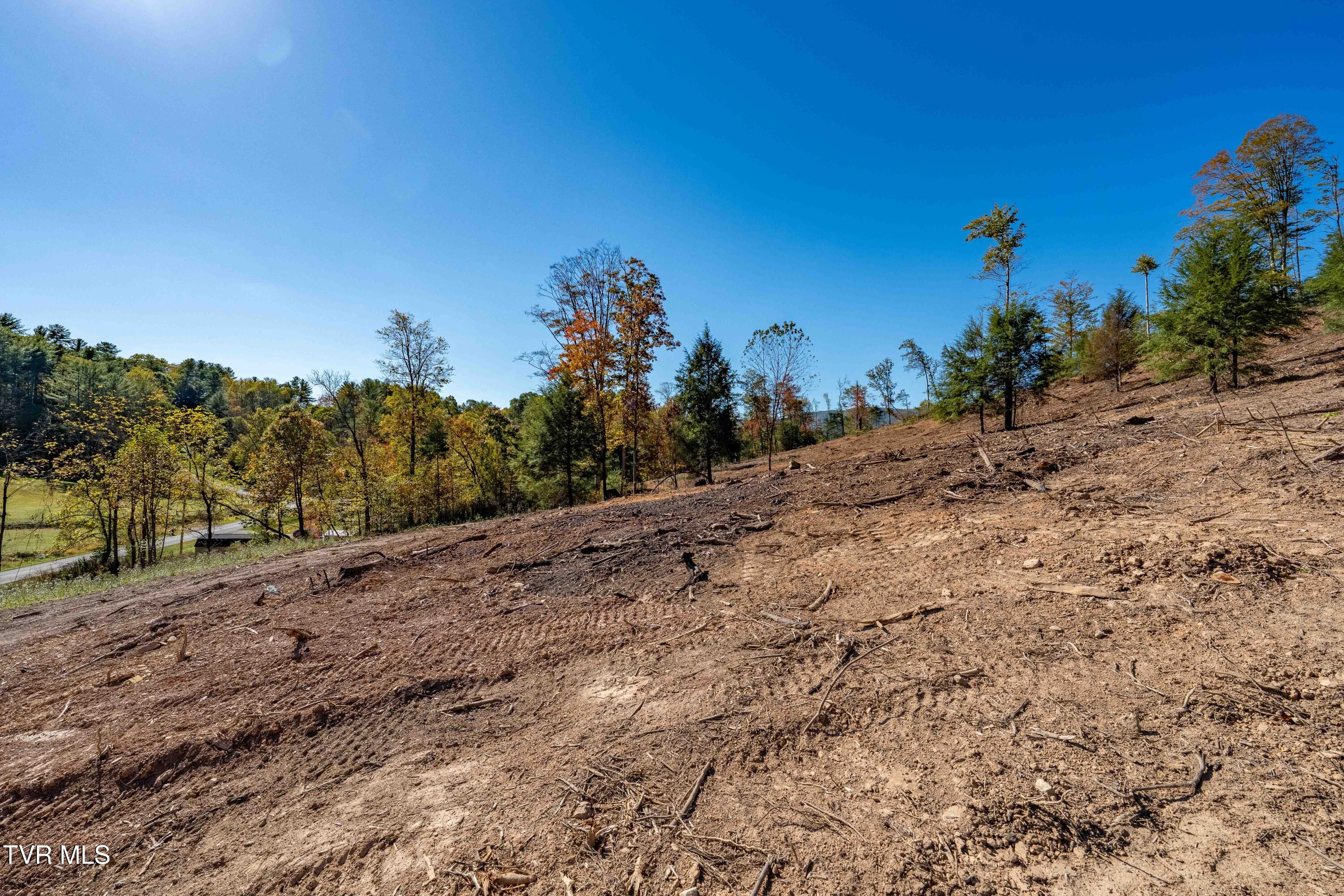 000 Dug Hill Road Mountain City, TN 37683 - Photo 28 of 50 TBD Dug Hill Road Lot 2 (31 of 40)