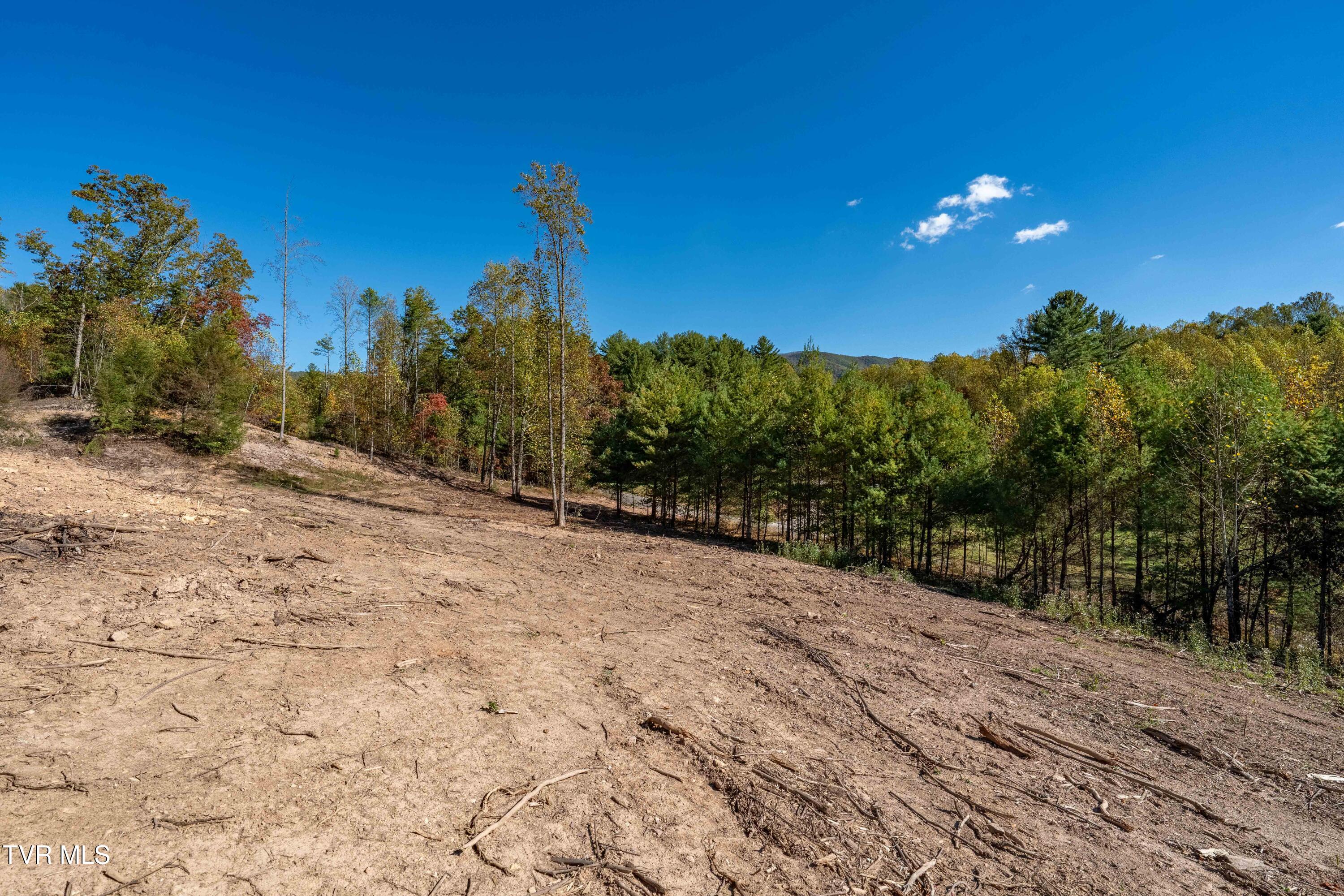 000 Dug Hill Road Mountain City, TN 37683 - Photo 30 of 50 TBD Dug Hill Road Lot 2 (29 of 40)