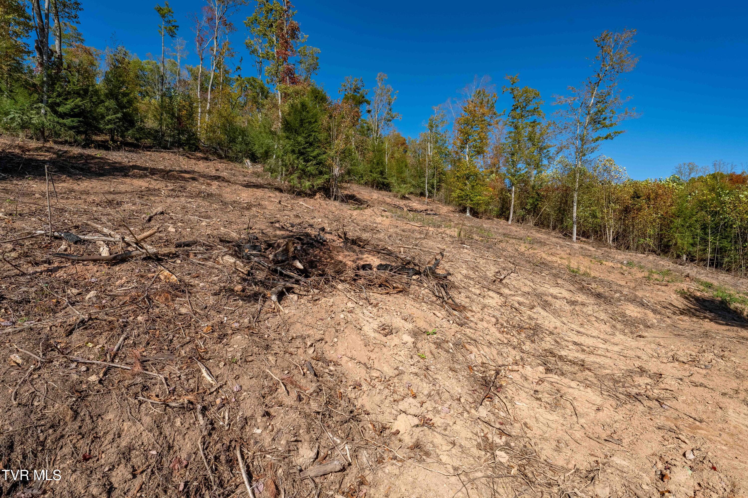 000 Dug Hill Road Mountain City, TN 37683 - Photo 31 of 50 TBD Dug Hill Road Lot 2 (34 of 40)