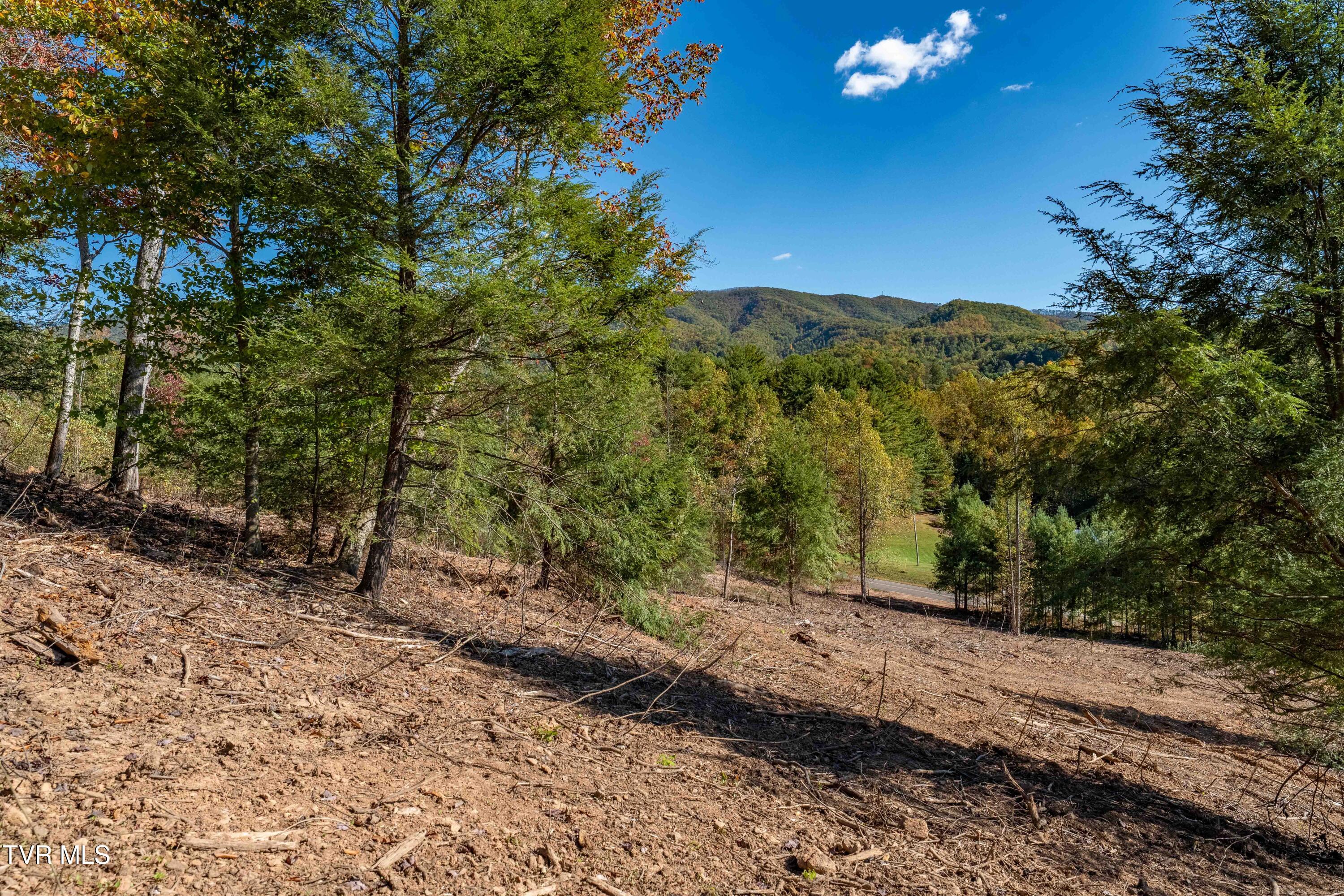 000 Dug Hill Road Mountain City, TN 37683 - Photo 32 of 50 TBD Dug Hill Road Lot 2 (36 of 40)