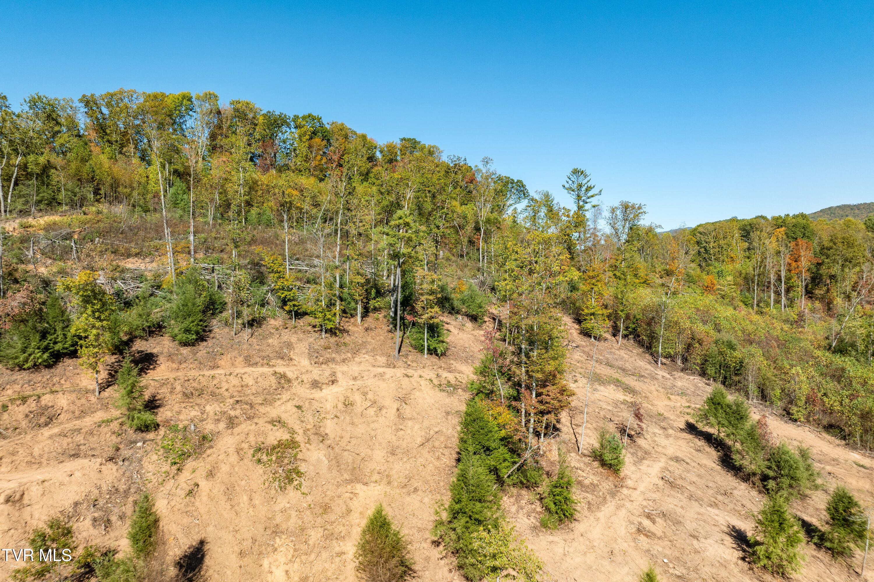 000 Dug Hill Road Mountain City, TN 37683 - Photo 36 of 50 TBD Dug Hill Road Lot 2 (18 of 40)