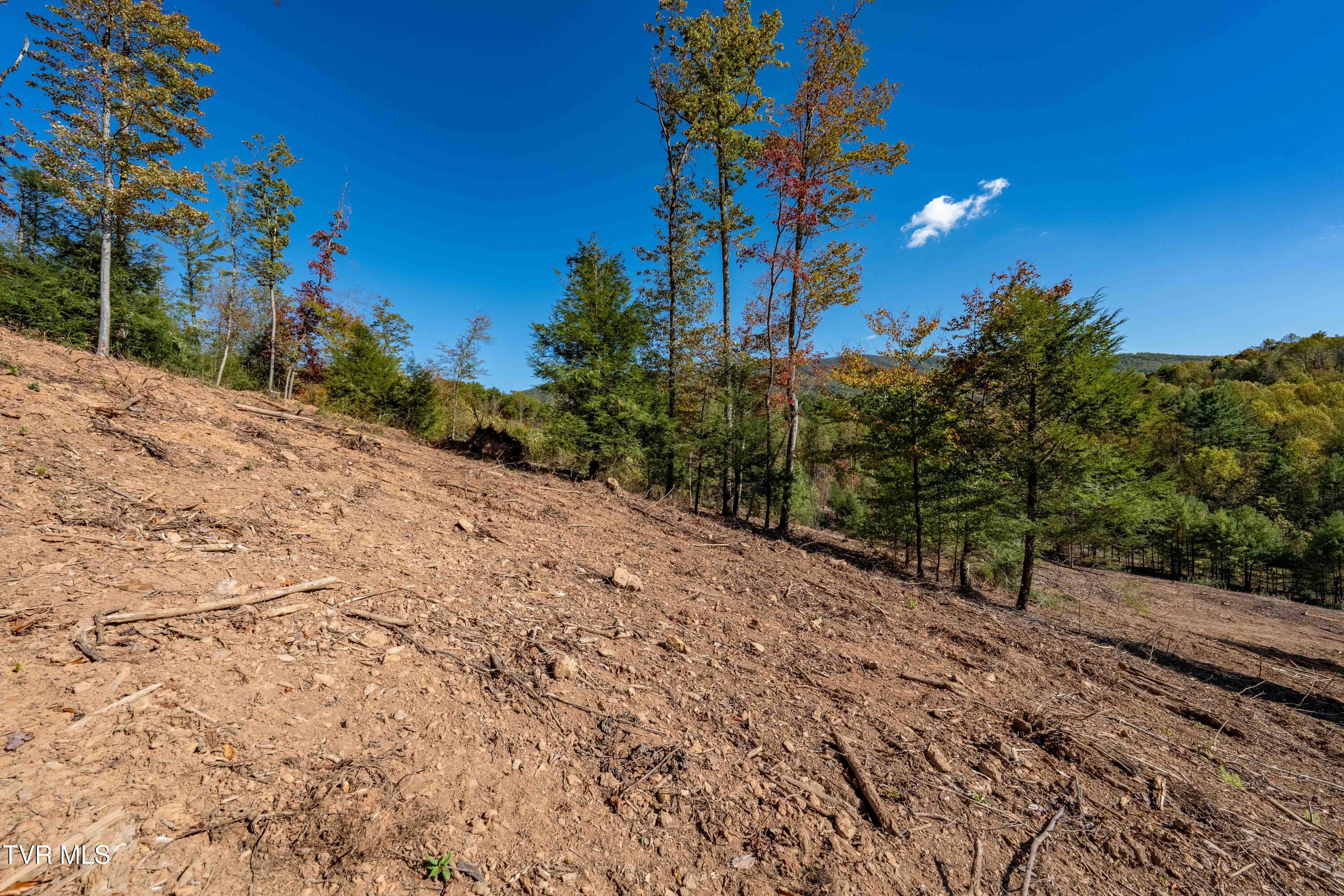 000 Dug Hill Road Mountain City, TN 37683 - Photo 37 of 50 TBD Dug Hill Road Lot 2 (38 of 40)