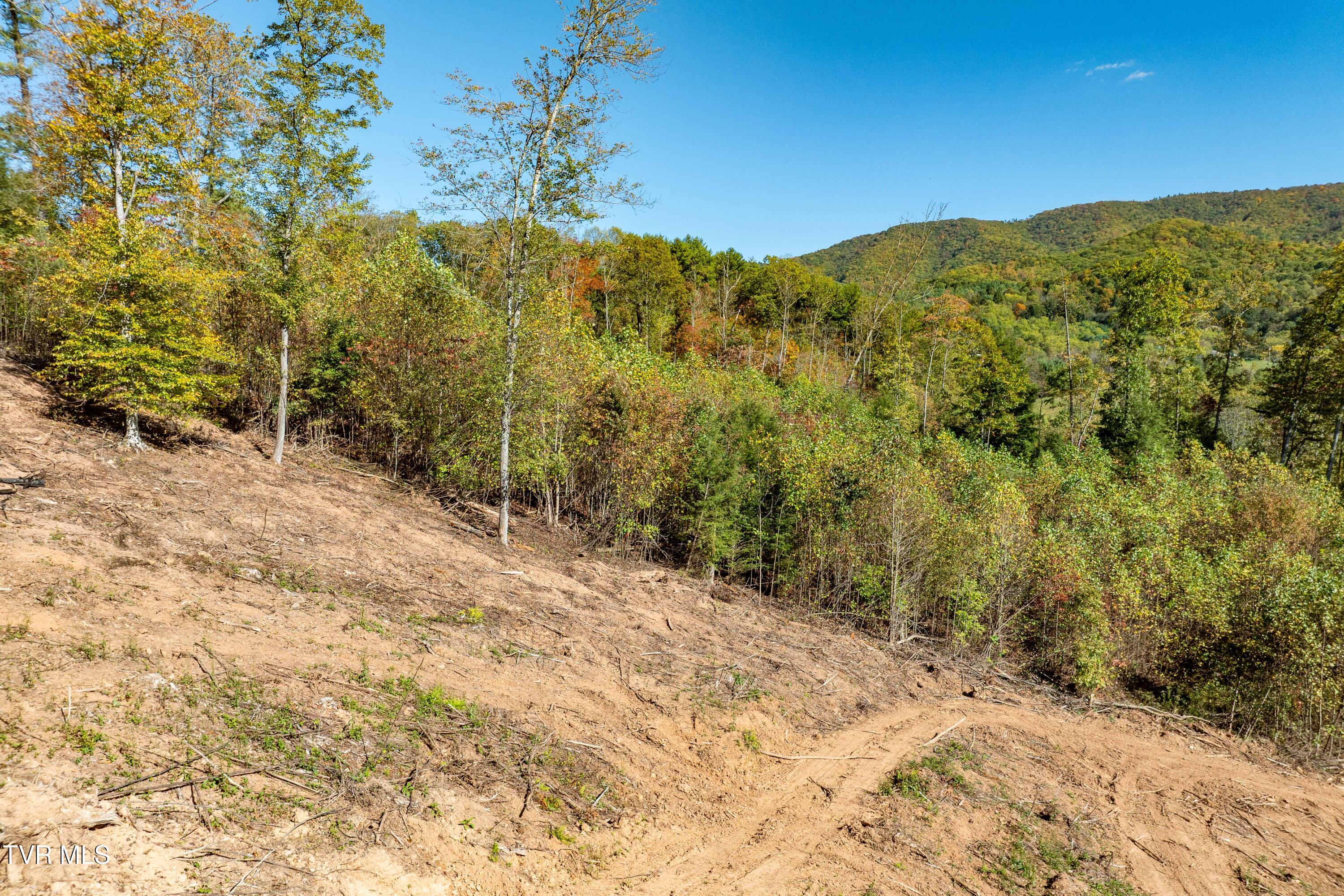 000 Dug Hill Road Mountain City, TN 37683 - Photo 38 of 50 TBD Dug Hill Road Lot 2 (21 of 40)