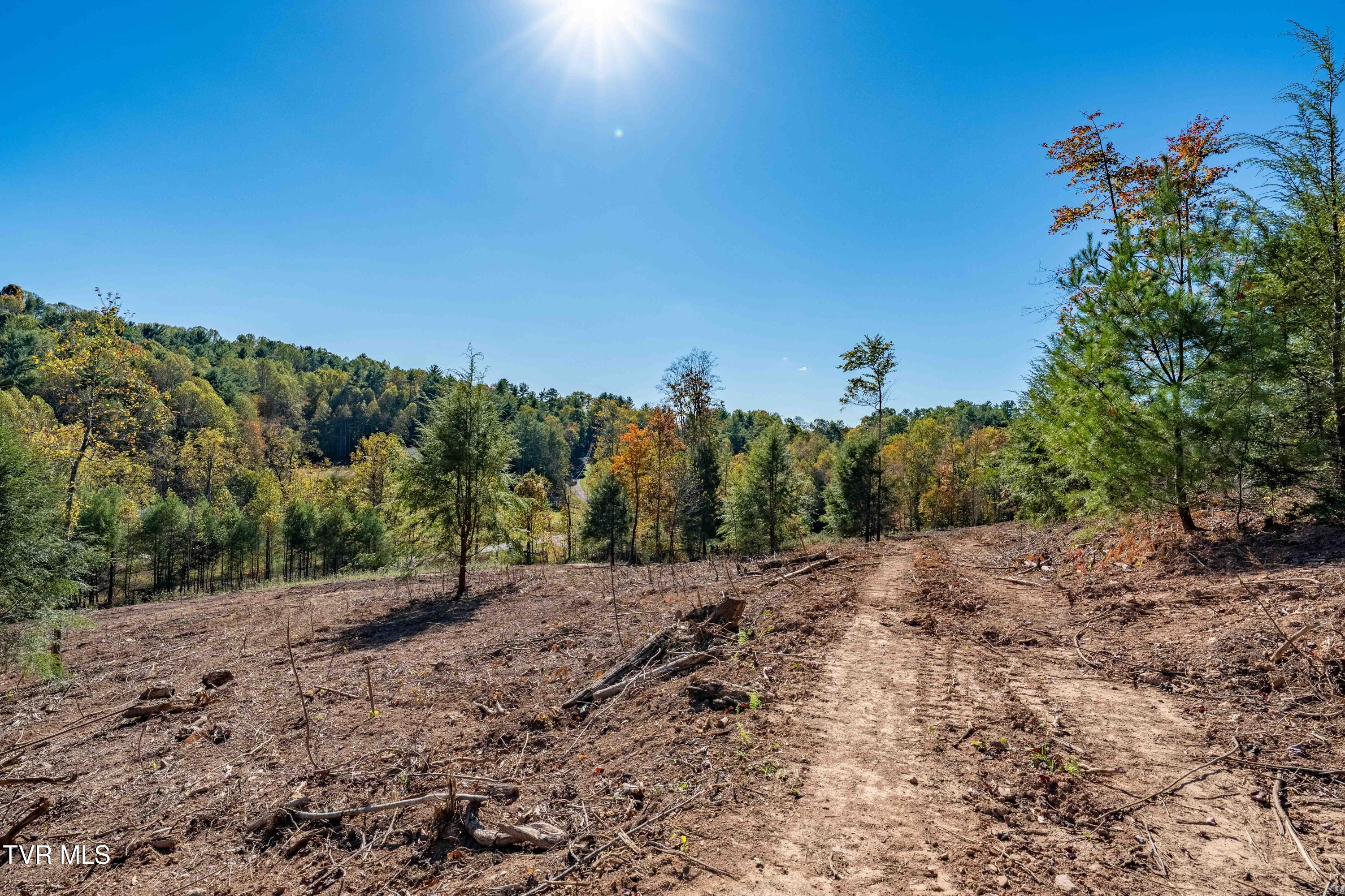 000 Dug Hill Road Mountain City, TN 37683 - Photo 4 of 50 TBD Dug Hill Road Lot 2 (33 of 40)