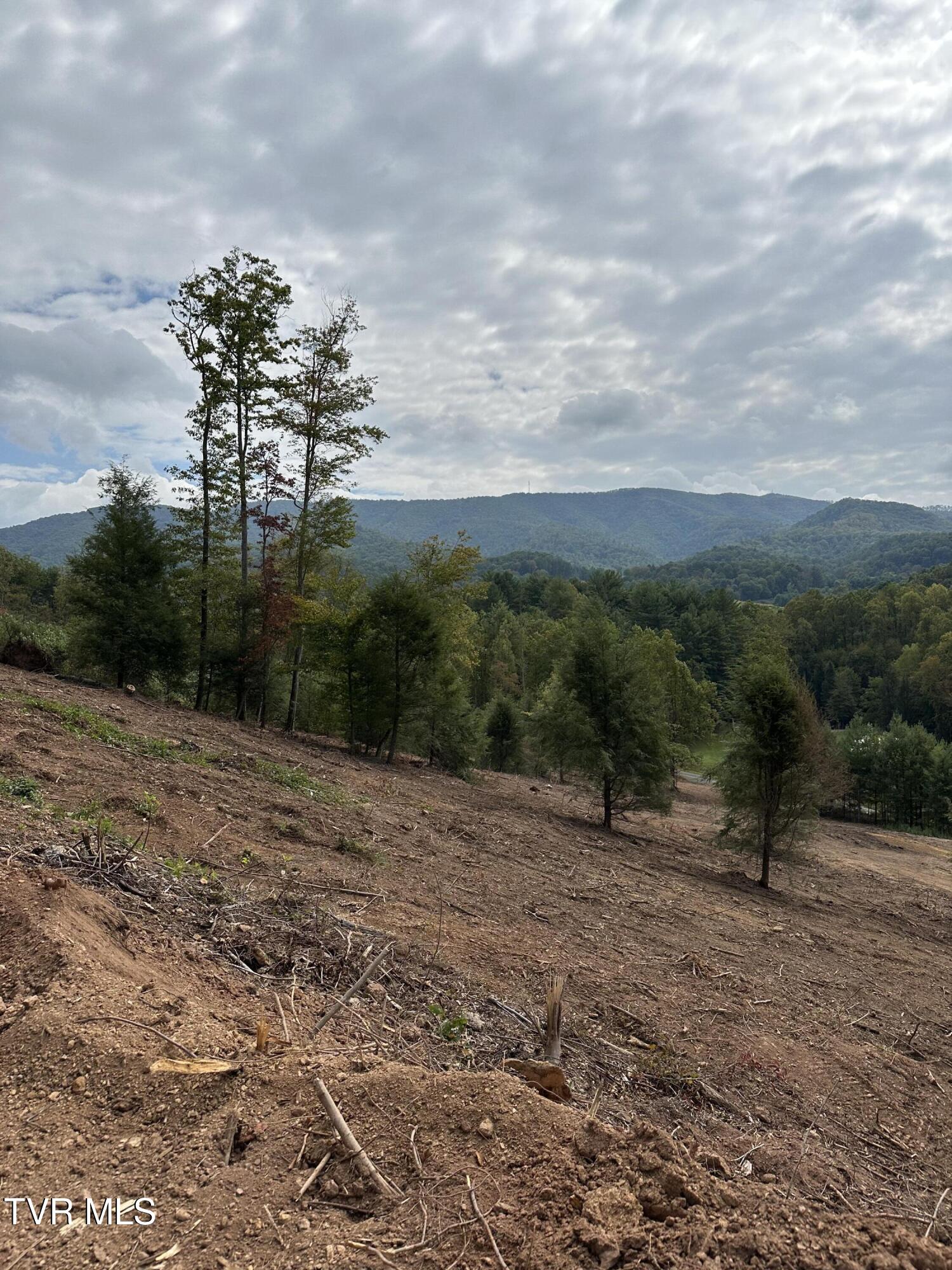 000 Dug Hill Road Mountain City, TN 37683 - Photo 43 of 50 IMG_5657