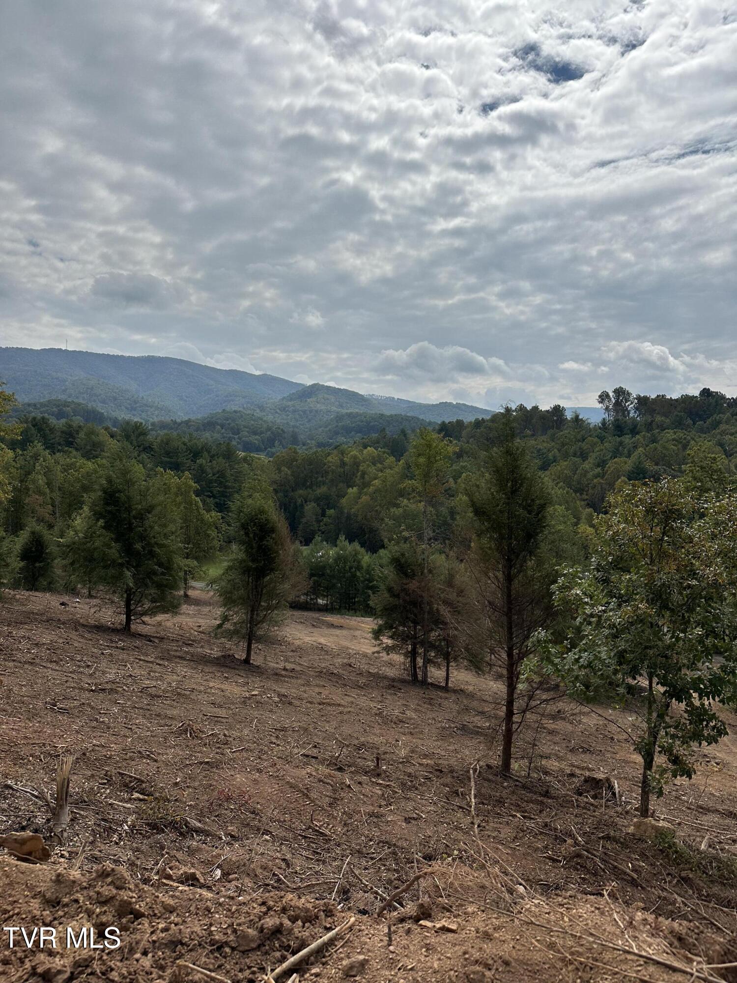 000 Dug Hill Road Mountain City, TN 37683 - Photo 44 of 50 IMG_5658