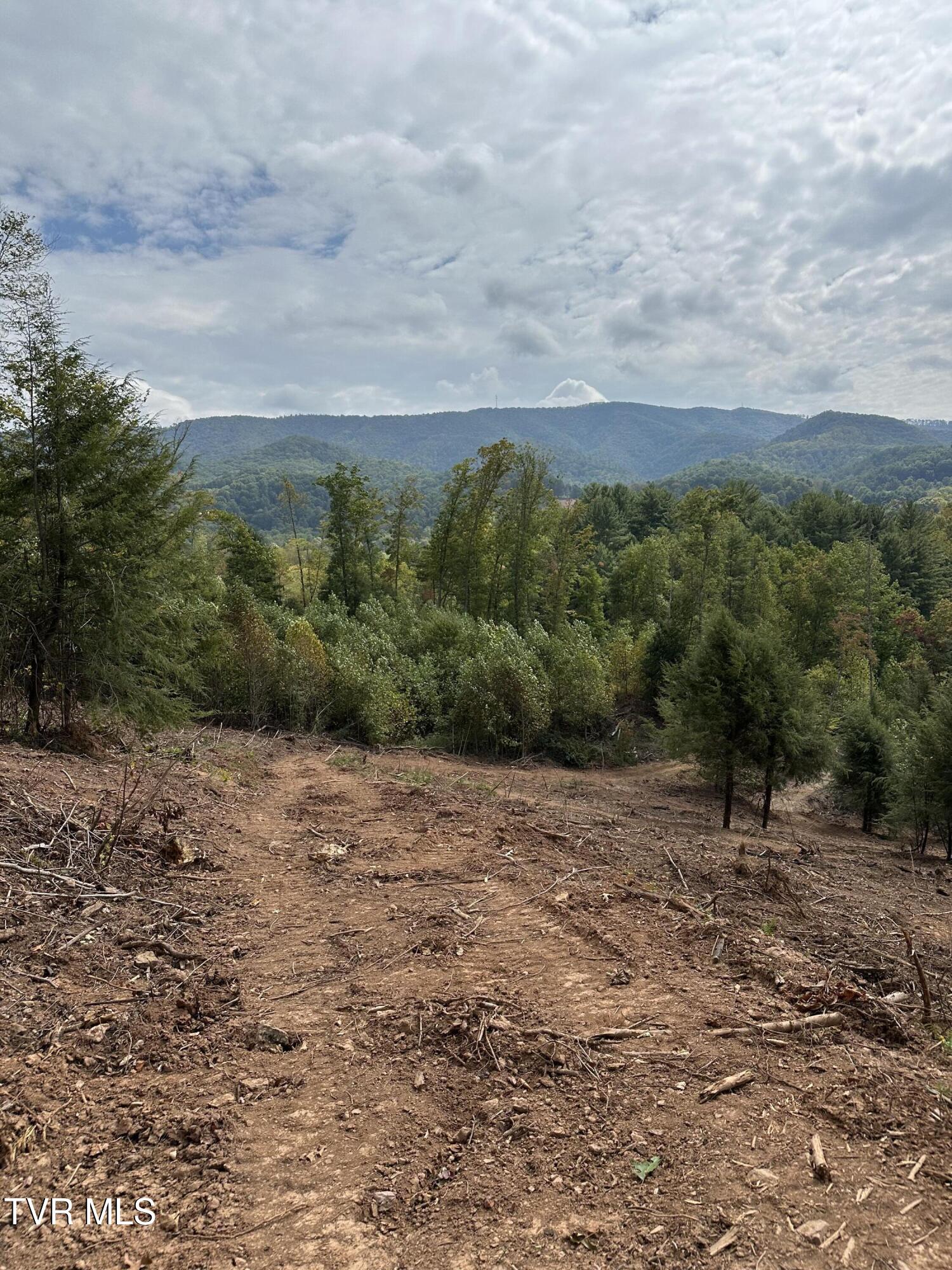 000 Dug Hill Road Mountain City, TN 37683 - Photo 45 of 50 IMG_5678