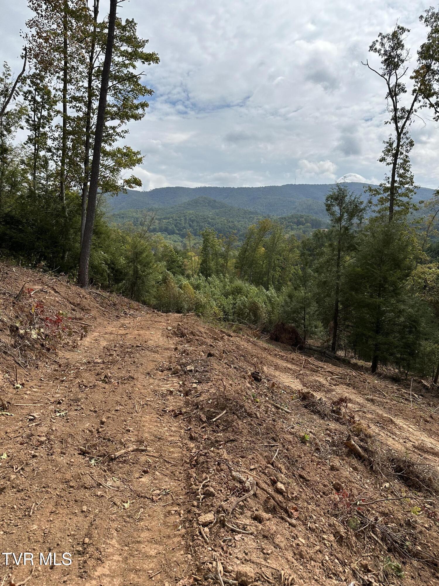 000 Dug Hill Road Mountain City, TN 37683 - Photo 46 of 50 IMG_5677