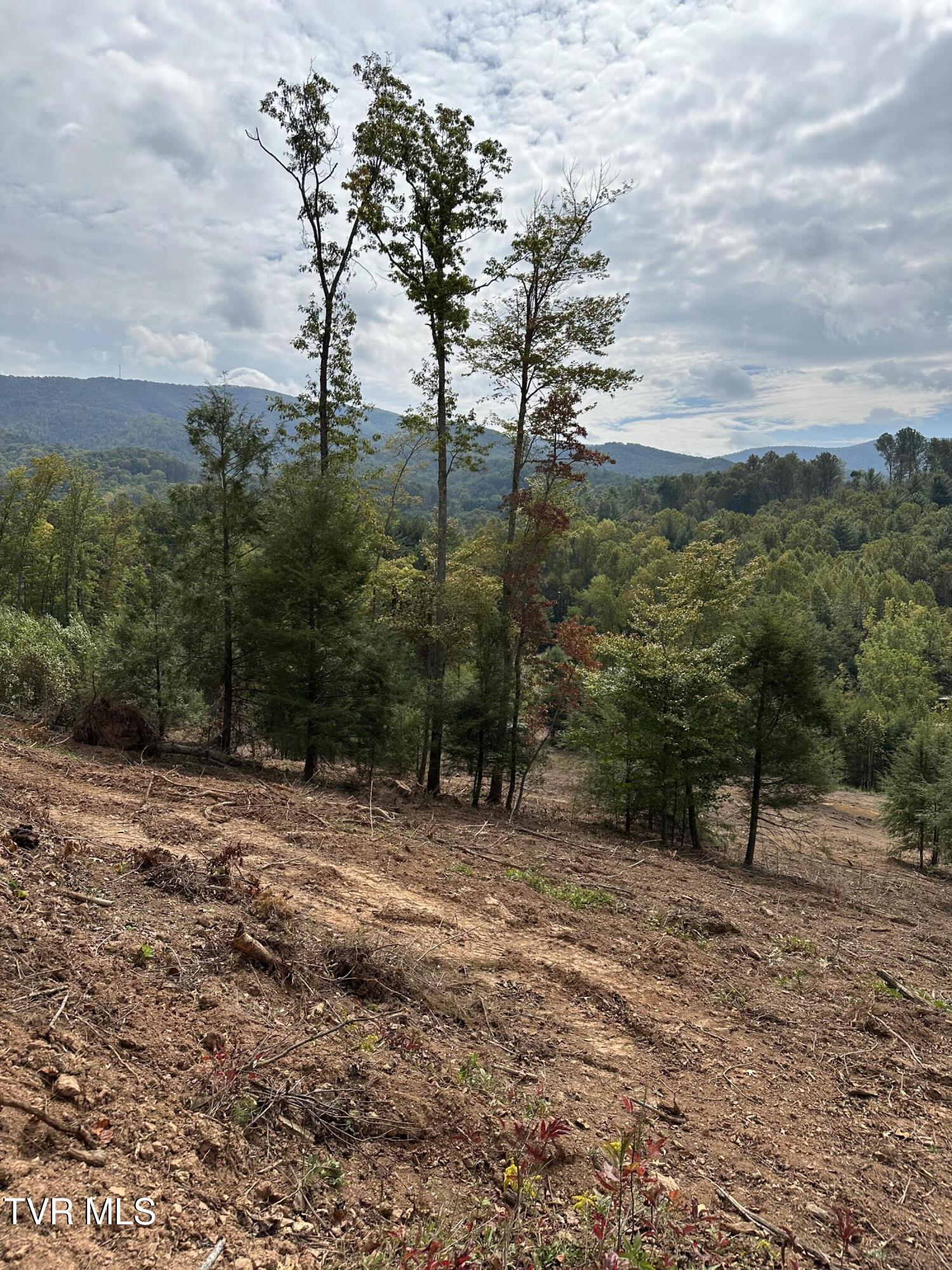 000 Dug Hill Road Mountain City, TN 37683 - Photo 47 of 50 IMG_5676