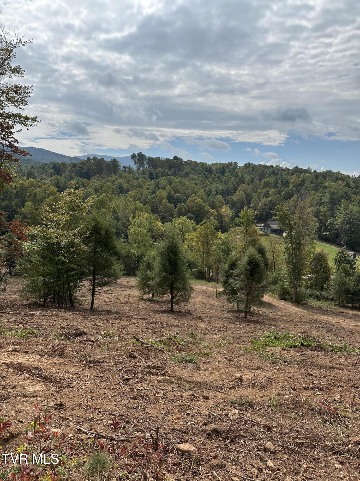 000 Dug Hill Road Mountain City, TN 37683 - Photo 48 of 50 IMG_5675