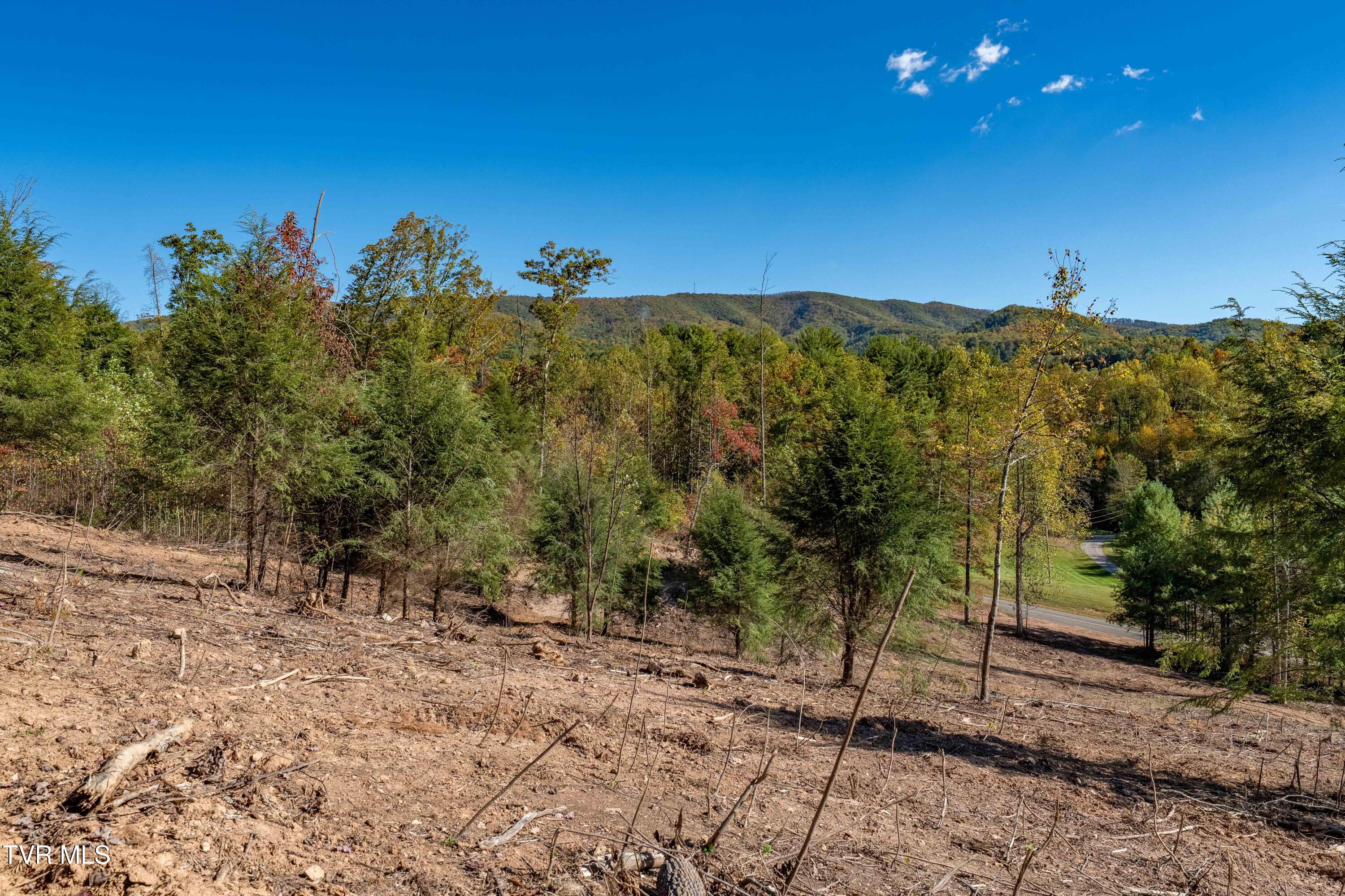 000 Dug Hill Road Mountain City, TN 37683 - Photo 7 of 50 TBD Dug Hill Road Lot 2 (35 of 40)