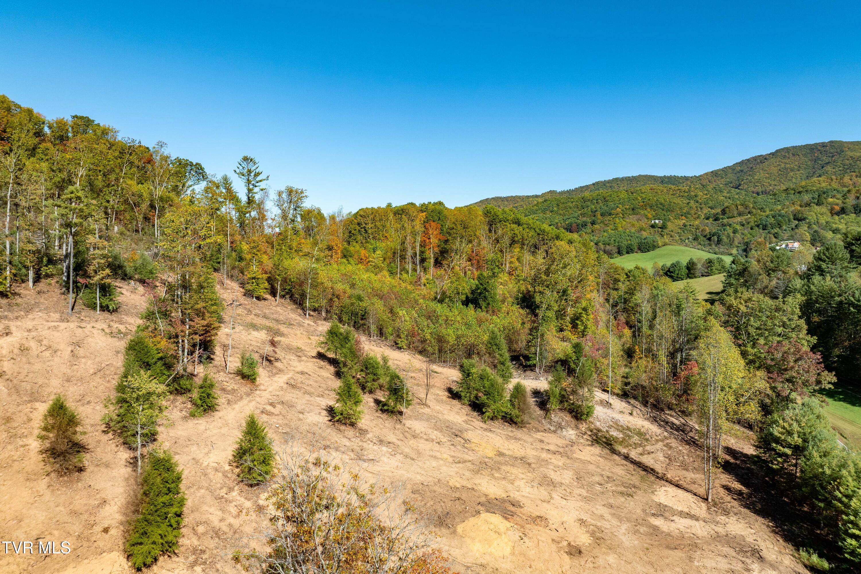 000 Dug Hill Road Mountain City, TN 37683 - Photo 8 of 50 TBD Dug Hill Road Lot 2 (17 of 40)
