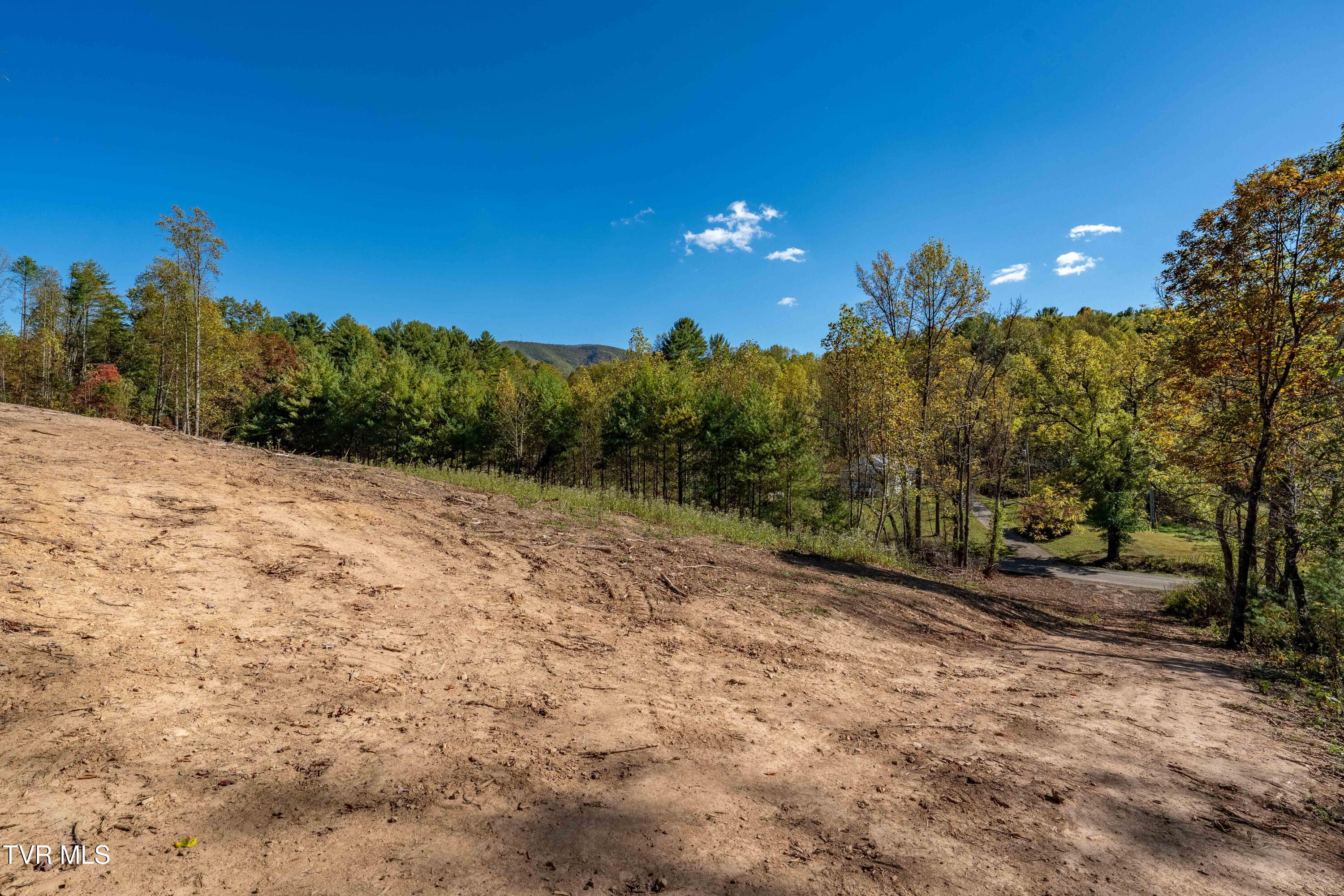 000 Dug Hill Road Mountain City, TN 37683 - Photo 9 of 50 TBD Dug Hill Road Lot 2 (28 of 40)
