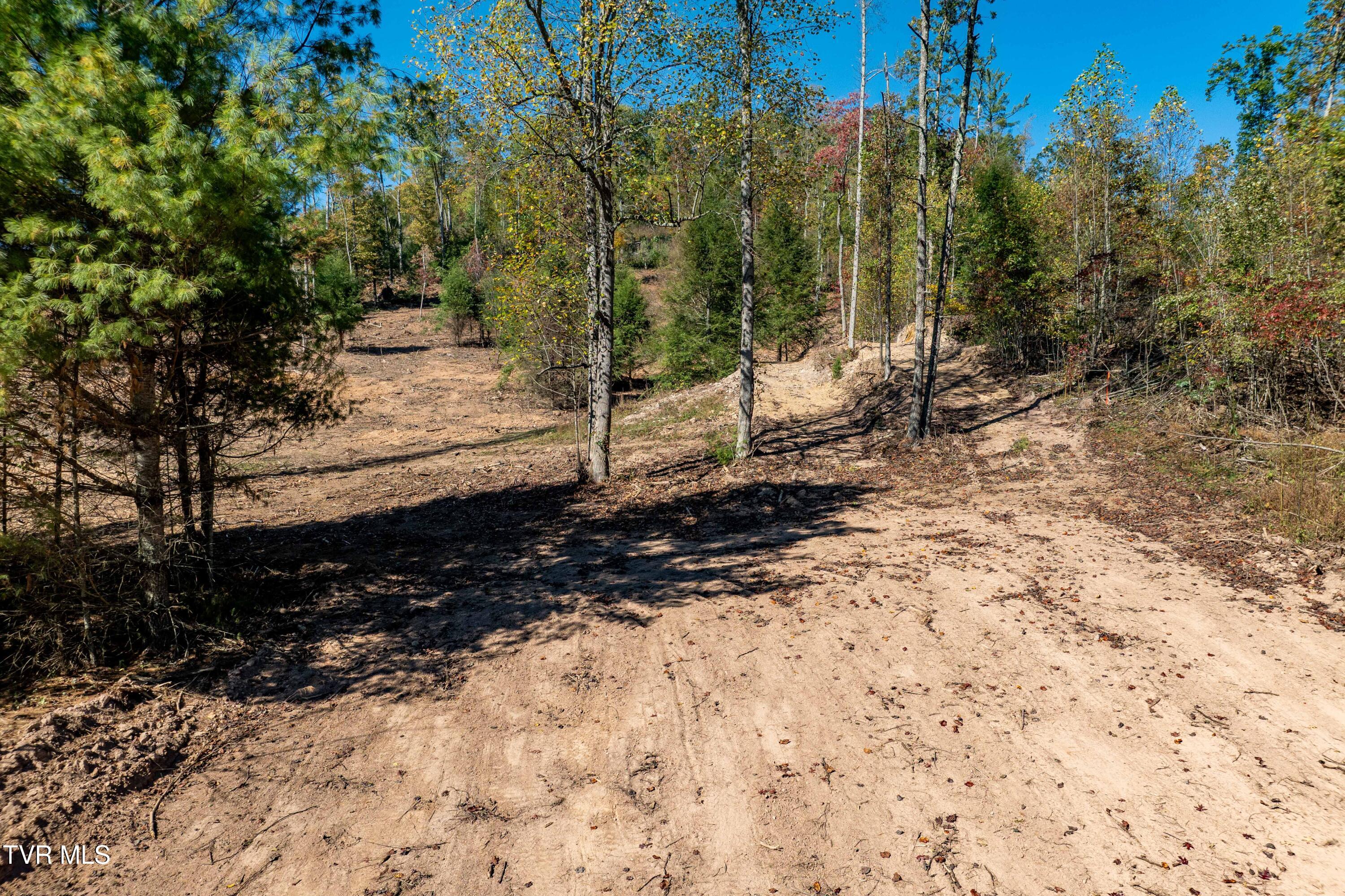 000 Dug Hill Road Mountain City, TN 37683 - Photo 10 of 50 TBD Dug Hill Road Lot 2 (15 of 40)