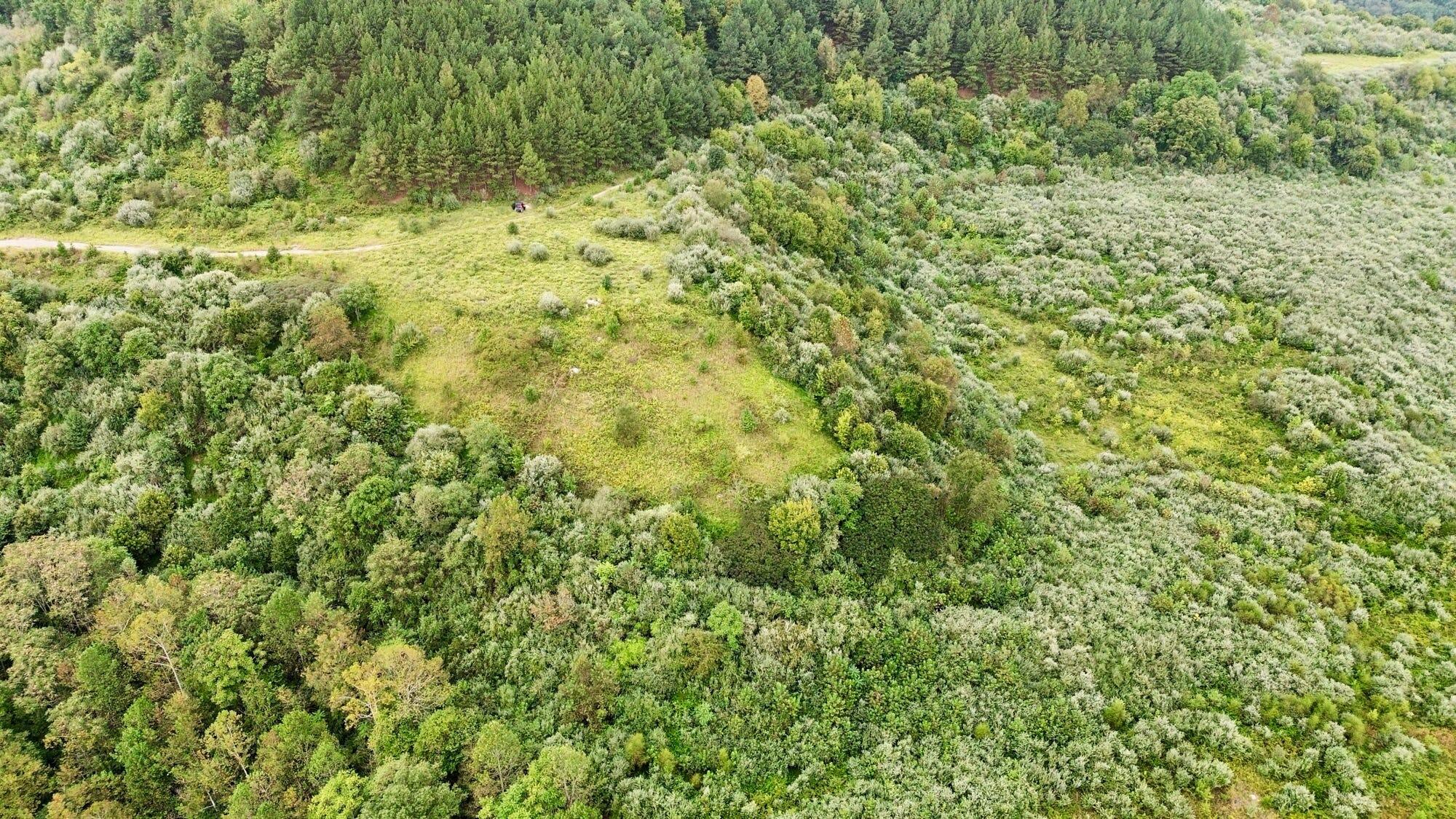 9074 Wolf Creek Road Pilgrim, KY 41250 - Photo 109 of 133 Aerial of Property