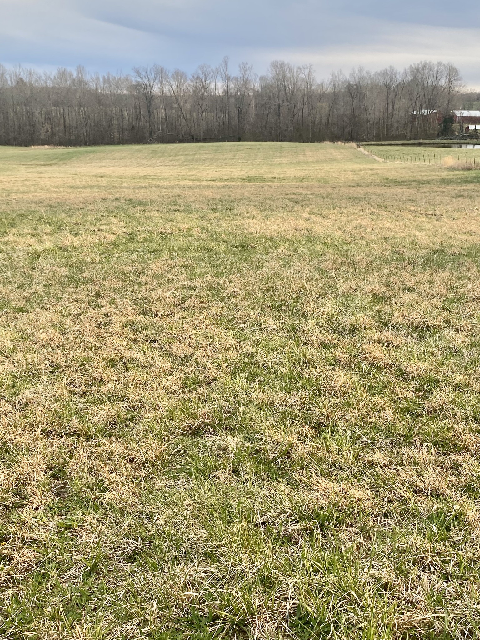 0 Denny Road Dickson, TN 37055 - Photo 3 of 5 Gallery Image 3