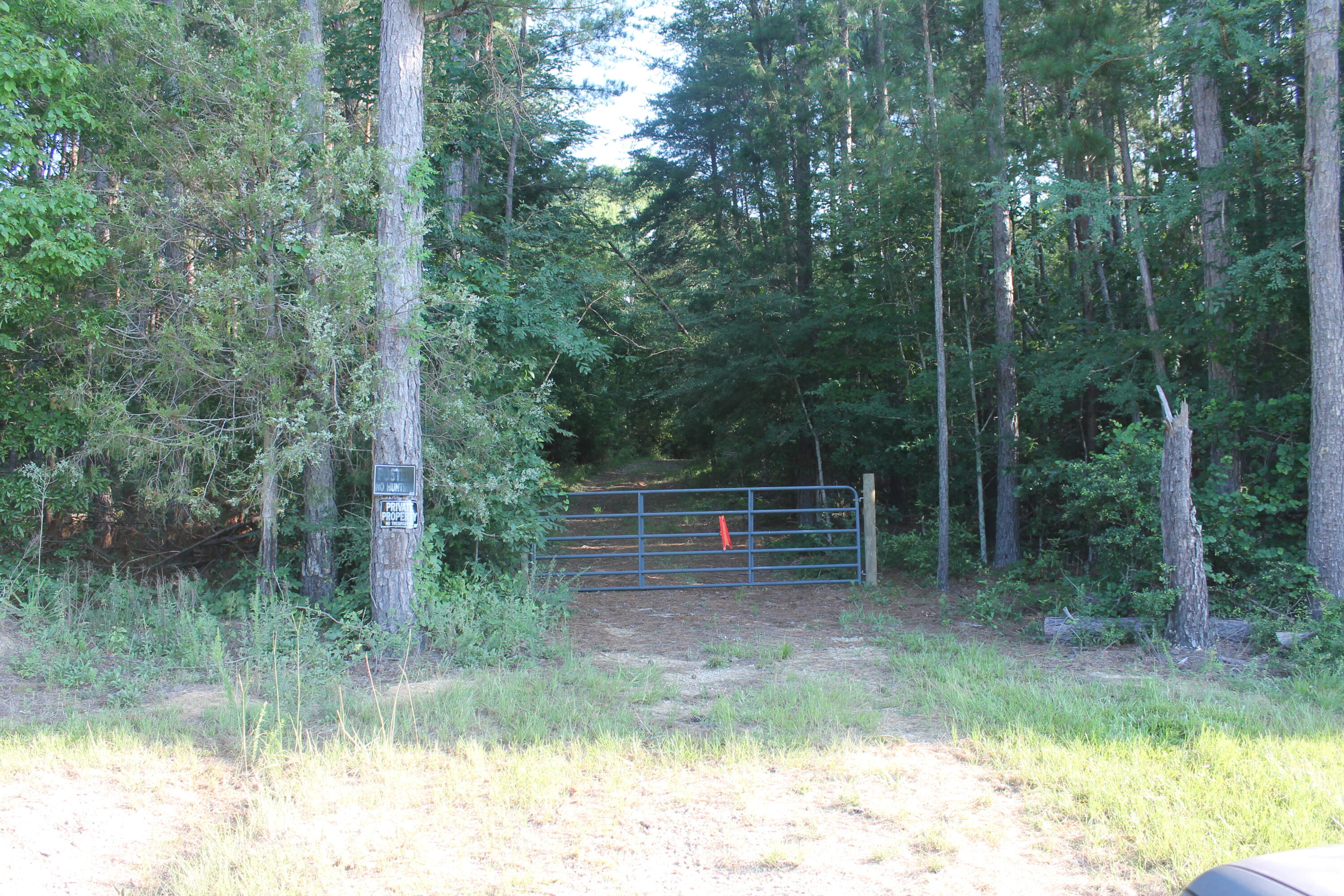 1200 B Highway McCormick, SC 29835 - Photo 1 of 11 a backyard of a house with lots of green space and plants