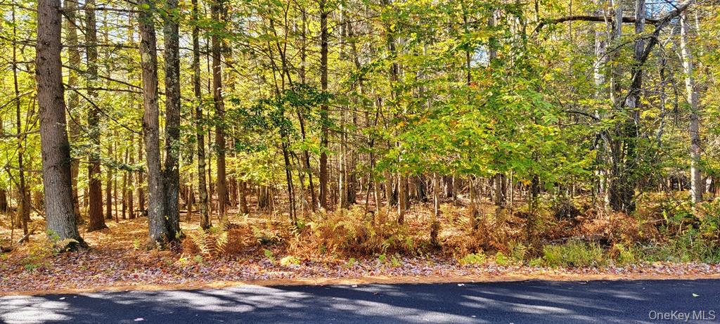 Moscoe Road Bethel, NY 12786 - Photo 11 of 13 a view of a hardwood area