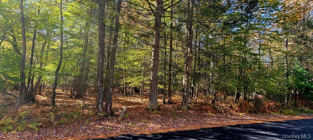 Moscoe Road Bethel, NY 12786 - Photo 12 of 13 a view of a tree