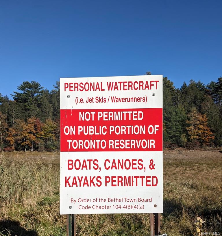 Moscoe Road Bethel, NY 12786 - Photo 13 of 13 a sign on the wall of the park