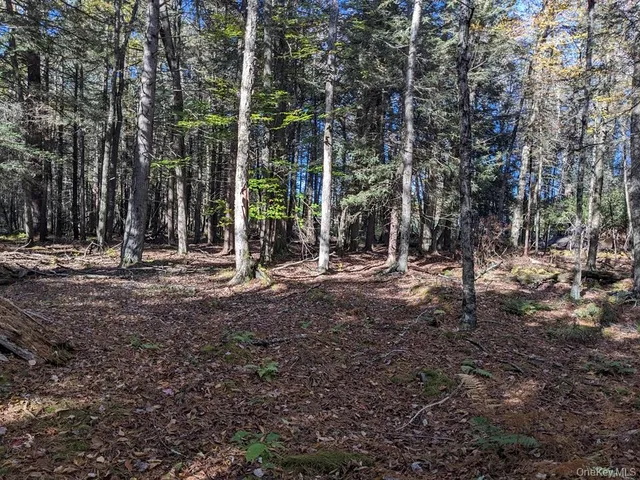 a view of outdoor space with trees