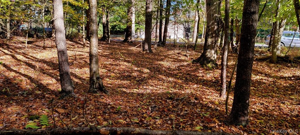 Moscoe Road Bethel, NY 12786 - Photo 5 of 13 a view of outdoor space with lots of trees